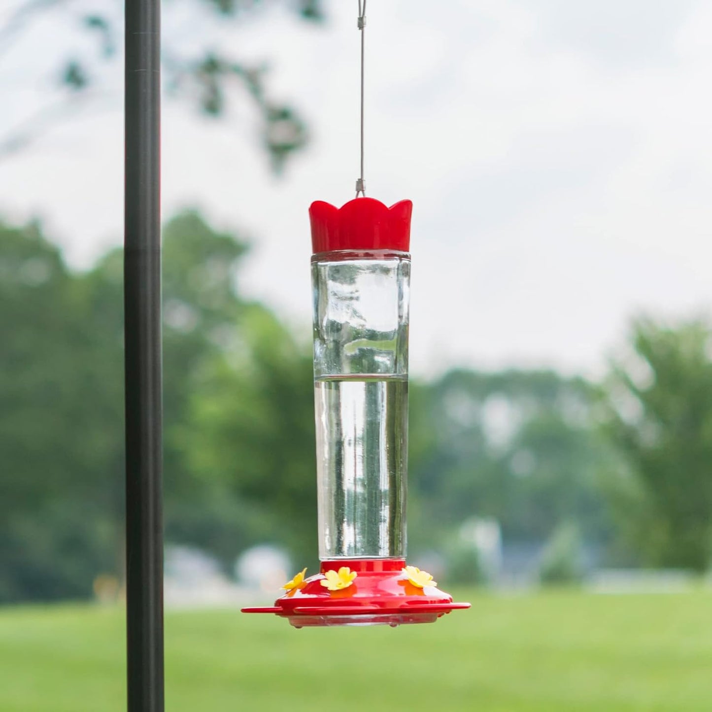 MEKKAPRO Outdoor Hummingbird Feeder Made from Glass, Hanging 5 Nectar 