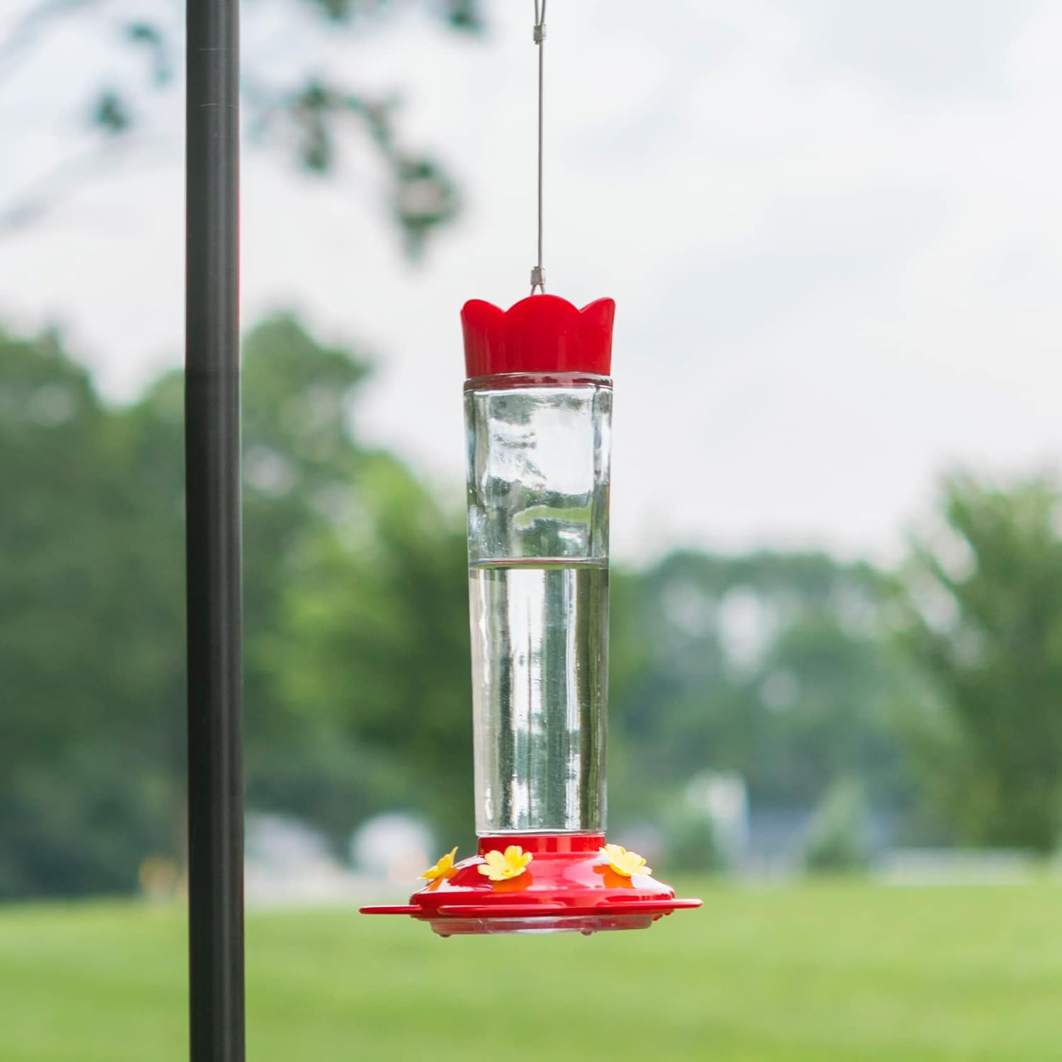 MEKKAPRO Outdoor Hummingbird Feeder Made from Glass, Hanging 5 Nectar 