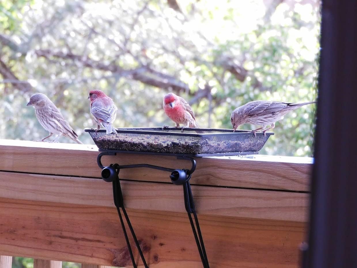 2 Pack 8" x 8" Railing Bird Feeder Tray for Balcony/Deck/Porch Platform Bird Seed Tray with 2 Elastic Rope Ground Mesh for Garden Backyard Outside Wild Birds or Squirrels