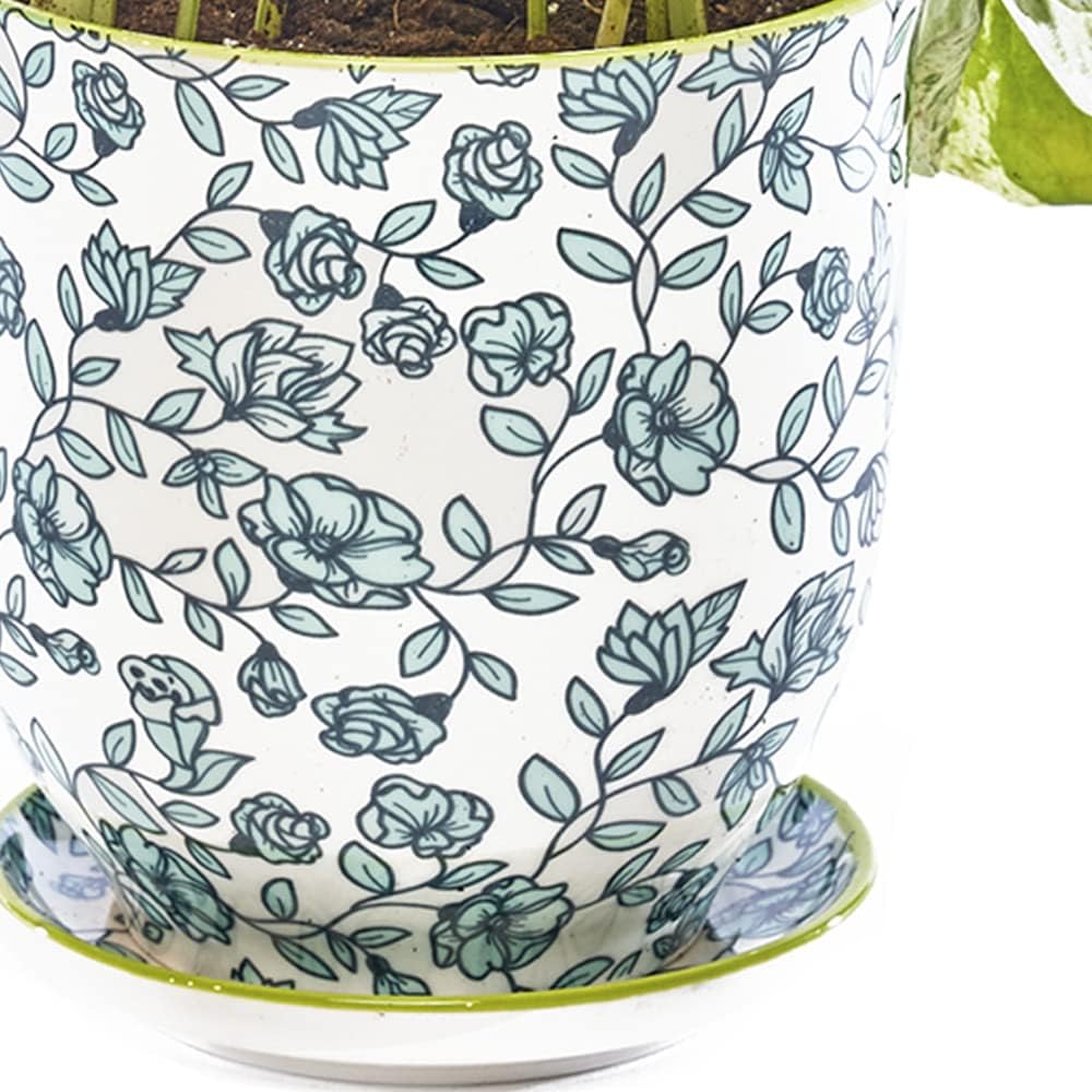 CHIVE ‘Liberte’ Ceramic Succulent Pots — 4.25” Cute Vintage Farmhouse Style Planters for Indoor Plants — Beautiful Home & Kitchen Decor — Green Flowers