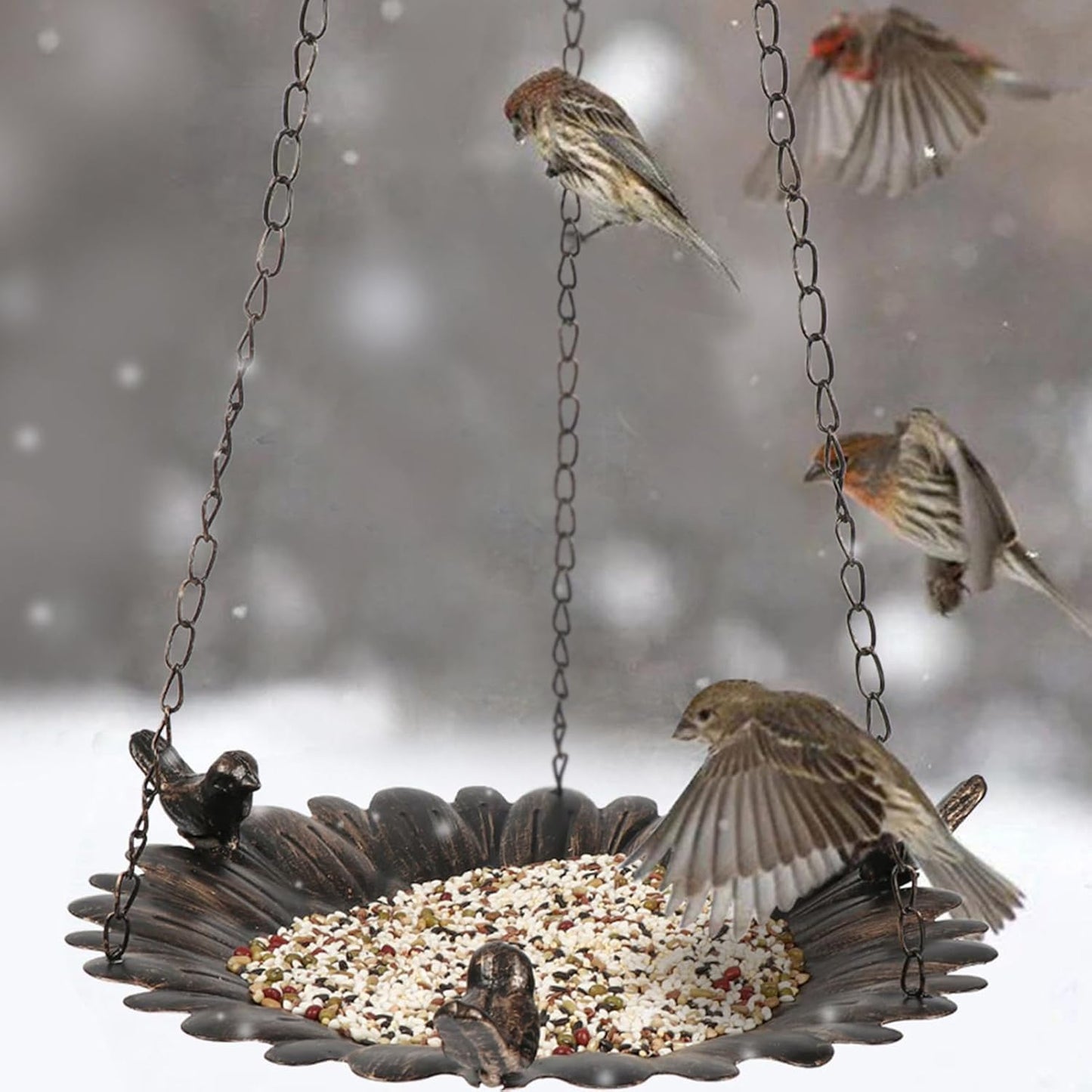 Wild Bird Feeders - Iron Vintage Outdoor Food Tray, Large Weatherproof Bird Feeder with Durable Design, Hummingbird and Finch Watching with Easy Hanging, Wildlife Feeding Accessory for Garden