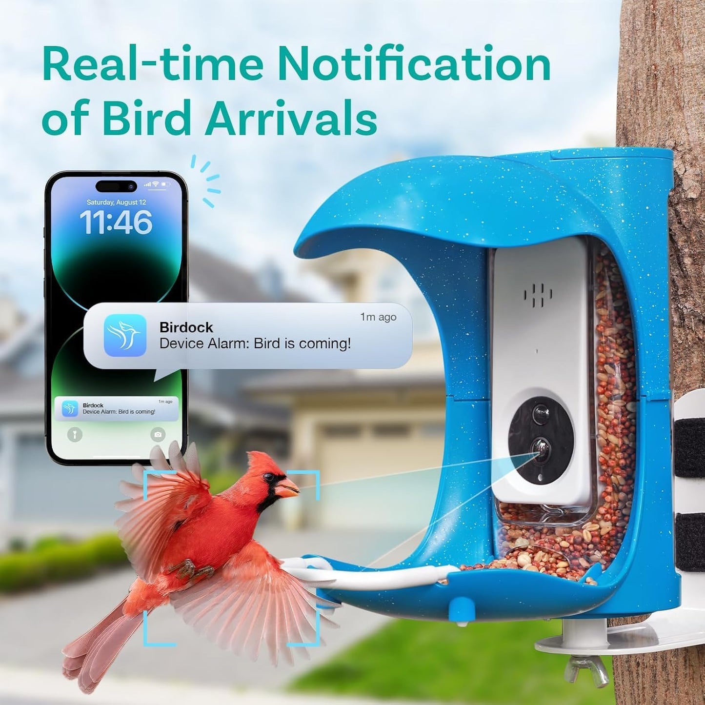 1296P HD AI Identify Smart Bird Feeder with Camera,1296P HD AI Identify Wild Watching Camera, Auto Capture Videos & Motion Detection,Gift for Bird Lover (2.4G HZ WiFi)(Blue)
