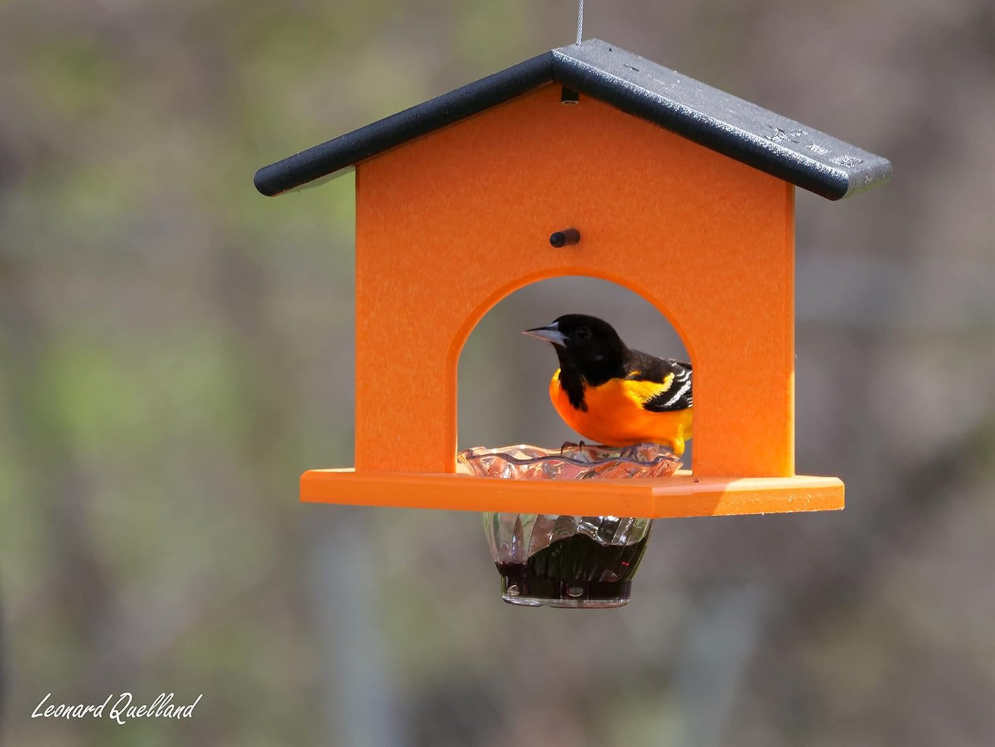 AmishToyBox.com Oriole Bird Feeder, Poly-Lumber Hanging Oriole Jelly Feeder (Orange)