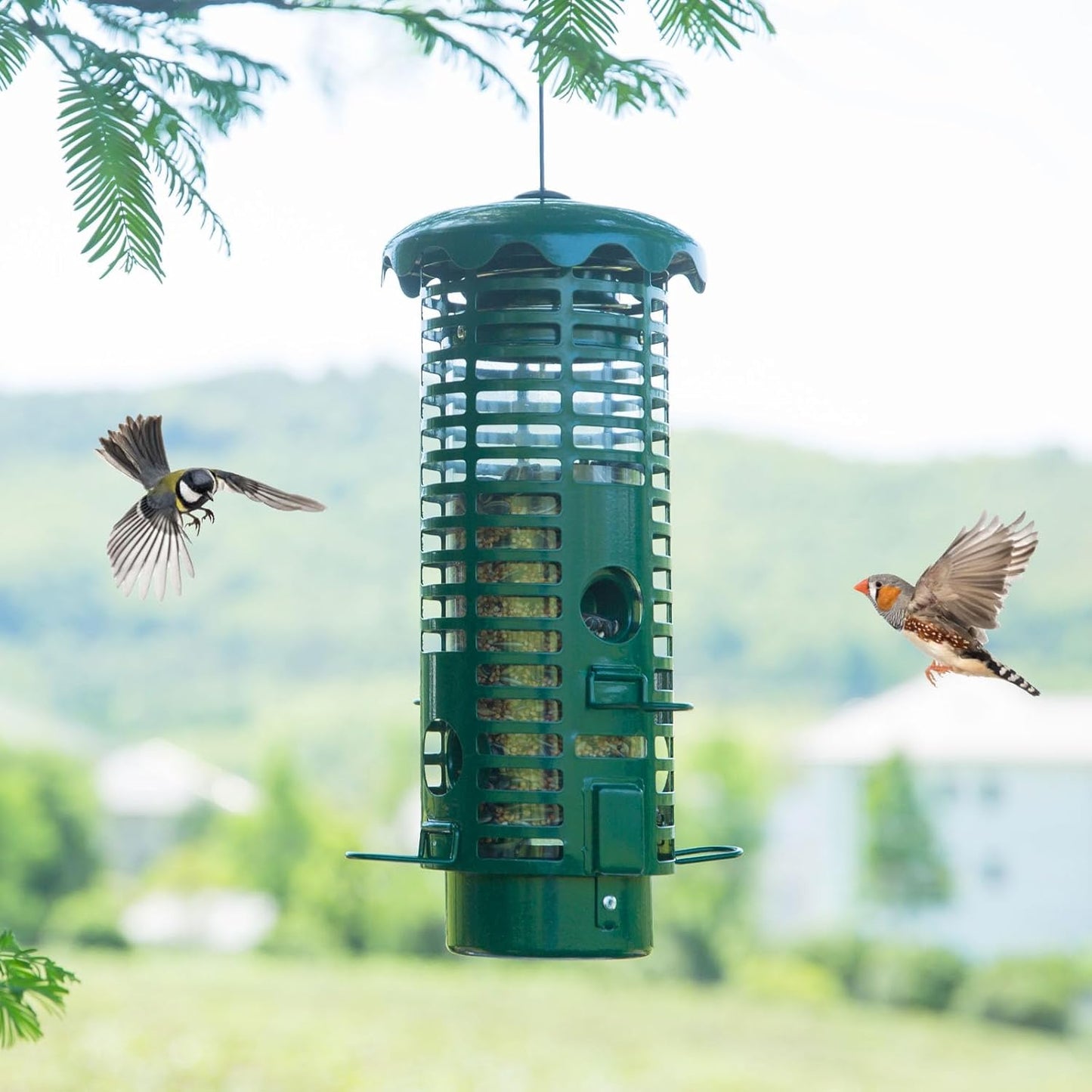 Squirrel Proof Bird Feeders Metal for Outdoors Hanging Weight Activated Wild Bird Seed Feeder for Finch Cardinal Chickadee, Weatherproof & Chew-Proof, 2LB Large Capacity, Green