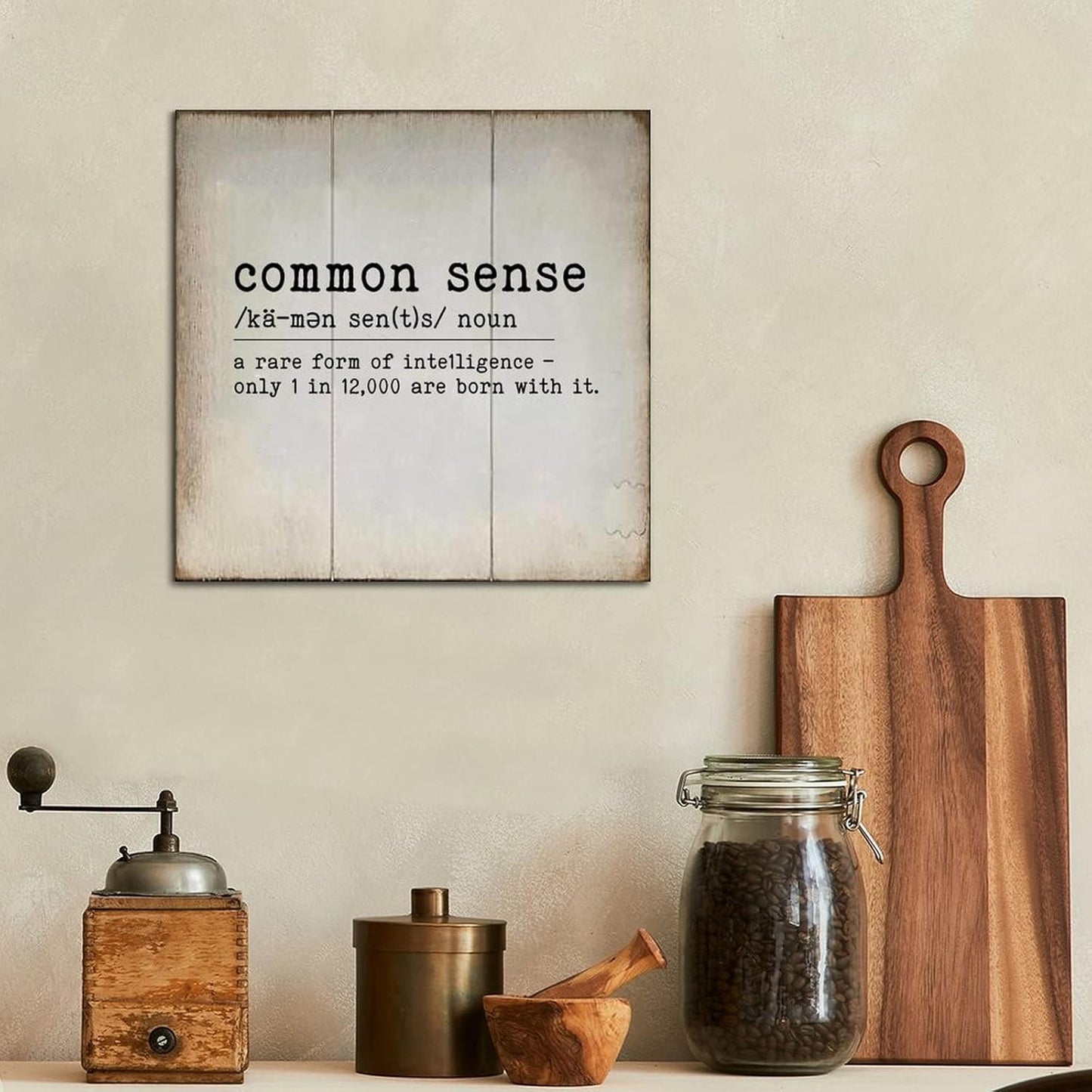 LITTLEGROVE SEEDS Vintage Wood Sign Common Sense Wooden Sign Common Sense Farmhouse Wall Art Rustic Wall Decorations for Living Room for Home Man Cave Garden Bars Cafes 12x12in