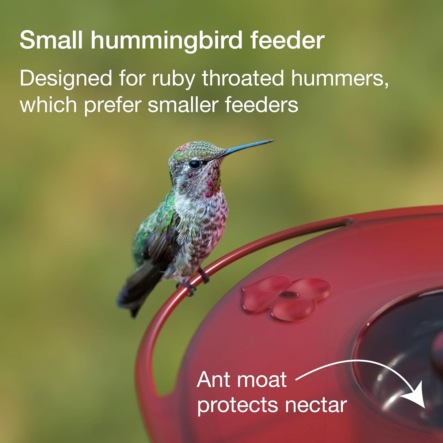 Small Hummingbird Feeder – Jacobi Jayne® Sweet Spot™ Hummingbird Feeder – Best Humming Bird Feeder, Small Hanging Ant-Proof Saucer Feeder with Ant Moat, Easy to Clean, Ideal for Outdoors