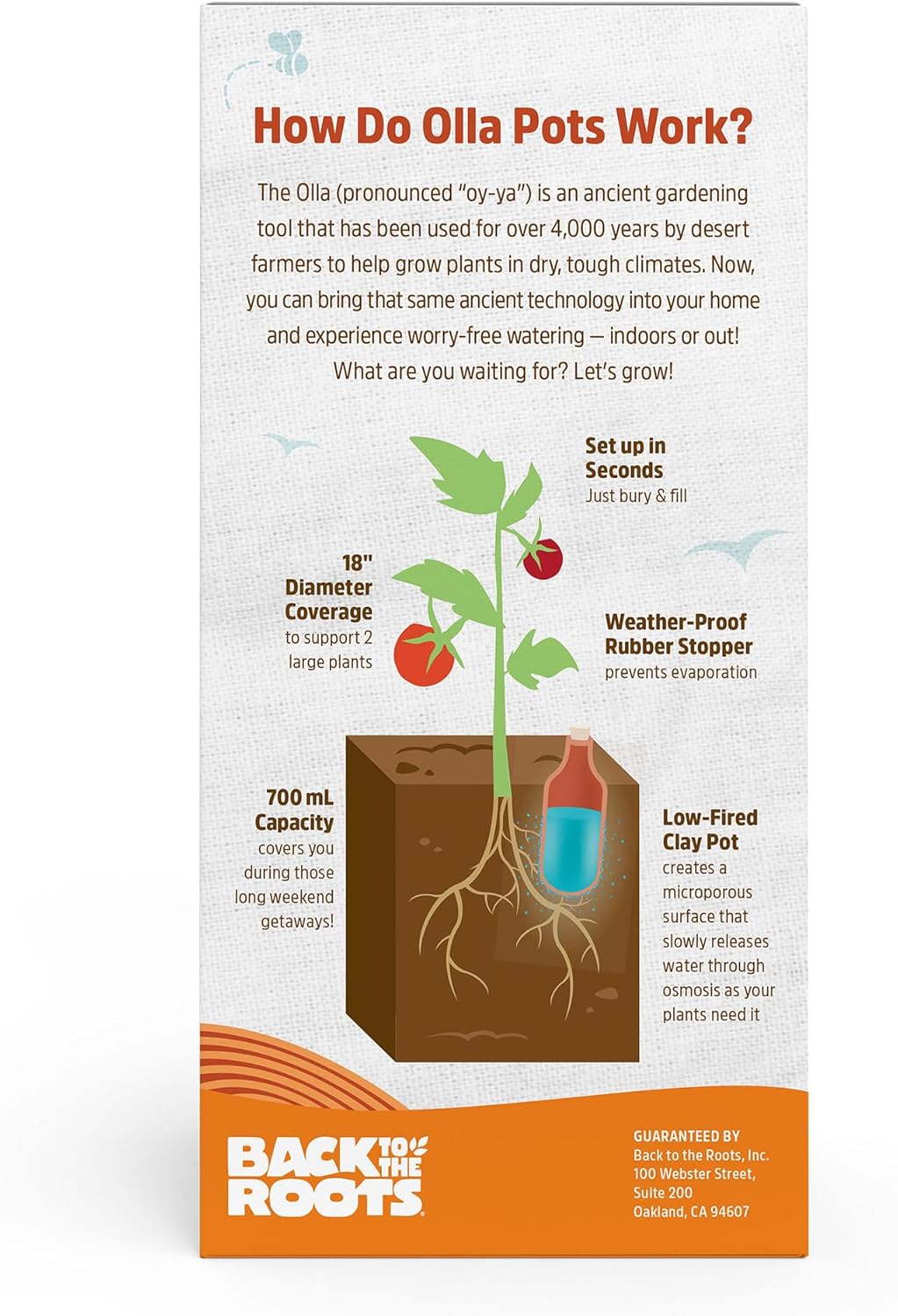 Back to the Roots Self-Watering Terracotta Olla Pot (Pack of 3), 700mL
