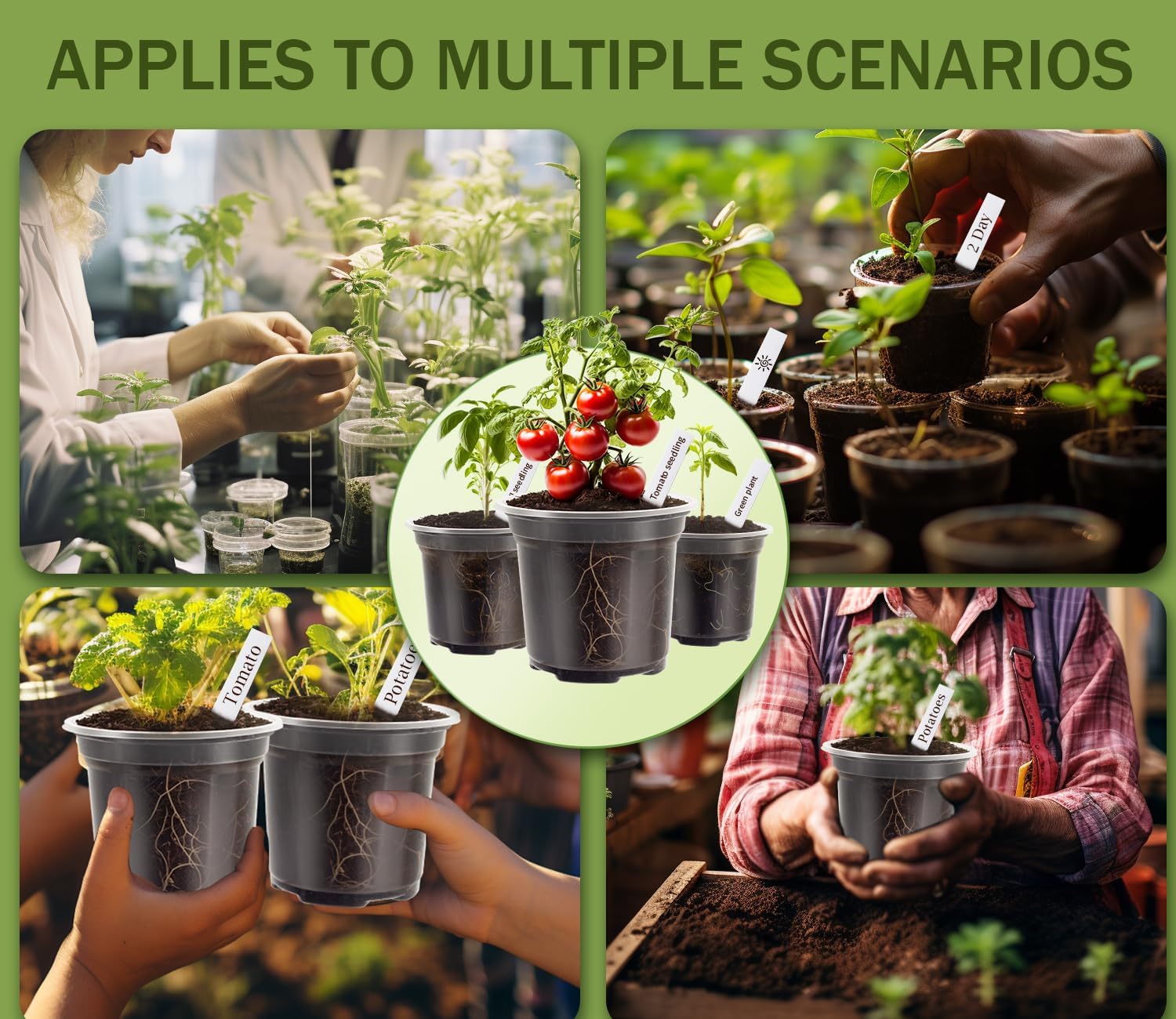 30 Packs Clear Nursery Pots for Plants, 3.5/4/5 Inch High Transparency