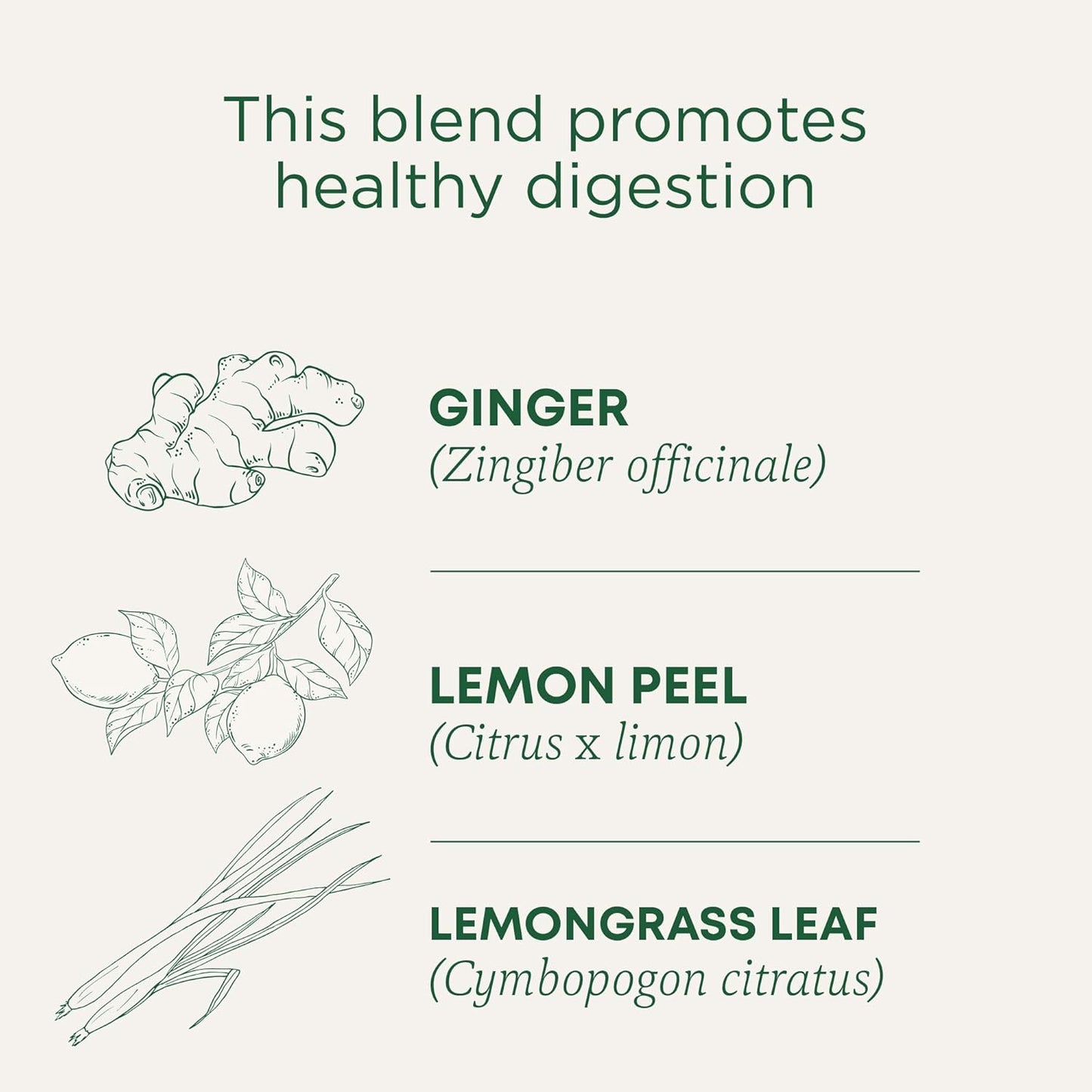 Traditional Medicinals Organic Lemon Ginger Tea, 1.13 Oz, 16 Count