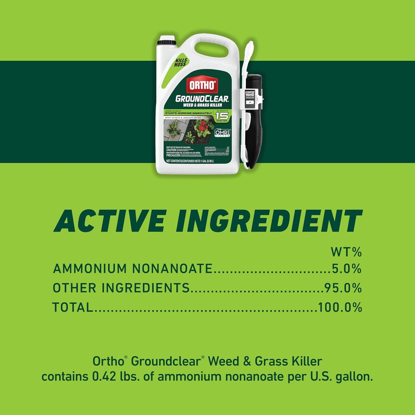 Ortho GroundClear Weed & Grass Killer with Comfort Wand - Kills Dandel