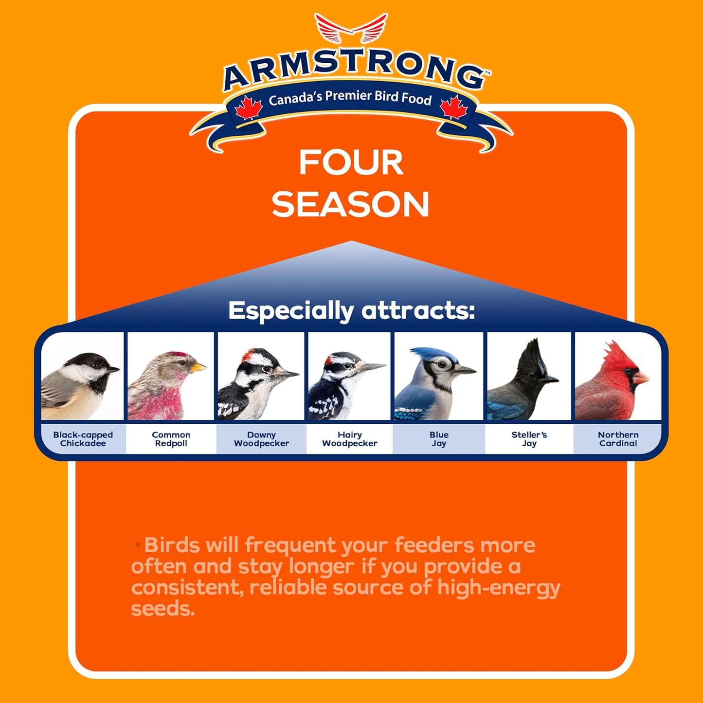 Armstrong Wild Bird Food Four Season Suet Cake, 11.3 Ounces (Pack of 3