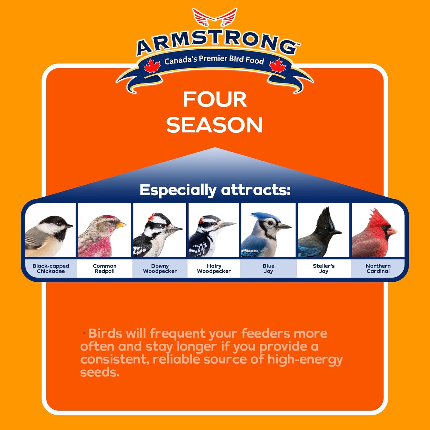 Armstrong Wild Bird Food Four Season Suet Cake, 11.3 Ounces (Pack of 3
