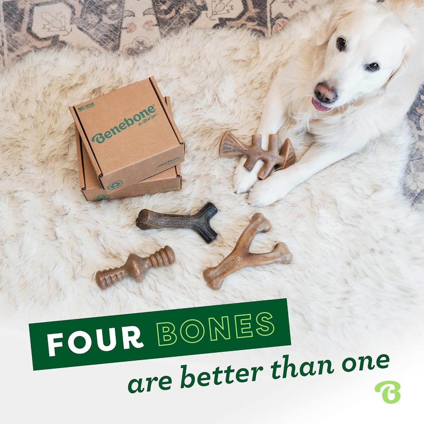 Benebone Medium 4-Pack Dog Toys for Aggressive Chewers – Durable Dog B