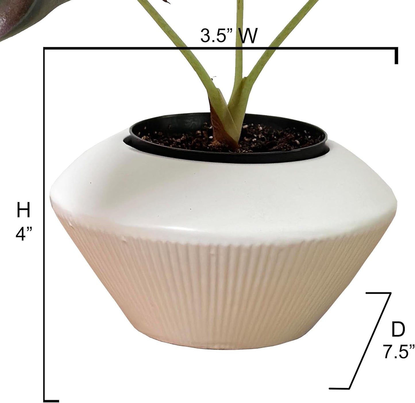 Admired by Nature 7.5" Ceramic Flower Planter Decorative Pot for Indoor Plant Succulent Home Décor, White