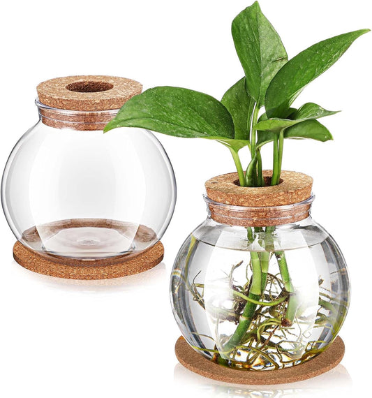 Baderke 2 Packs Propagation Vases for Plants Plastic Plant Propagation Station with Hole Lid and Cork Coasters Plant Growing in Water Hydroponic Home Office Table Decoration(Fish Bowl Style)