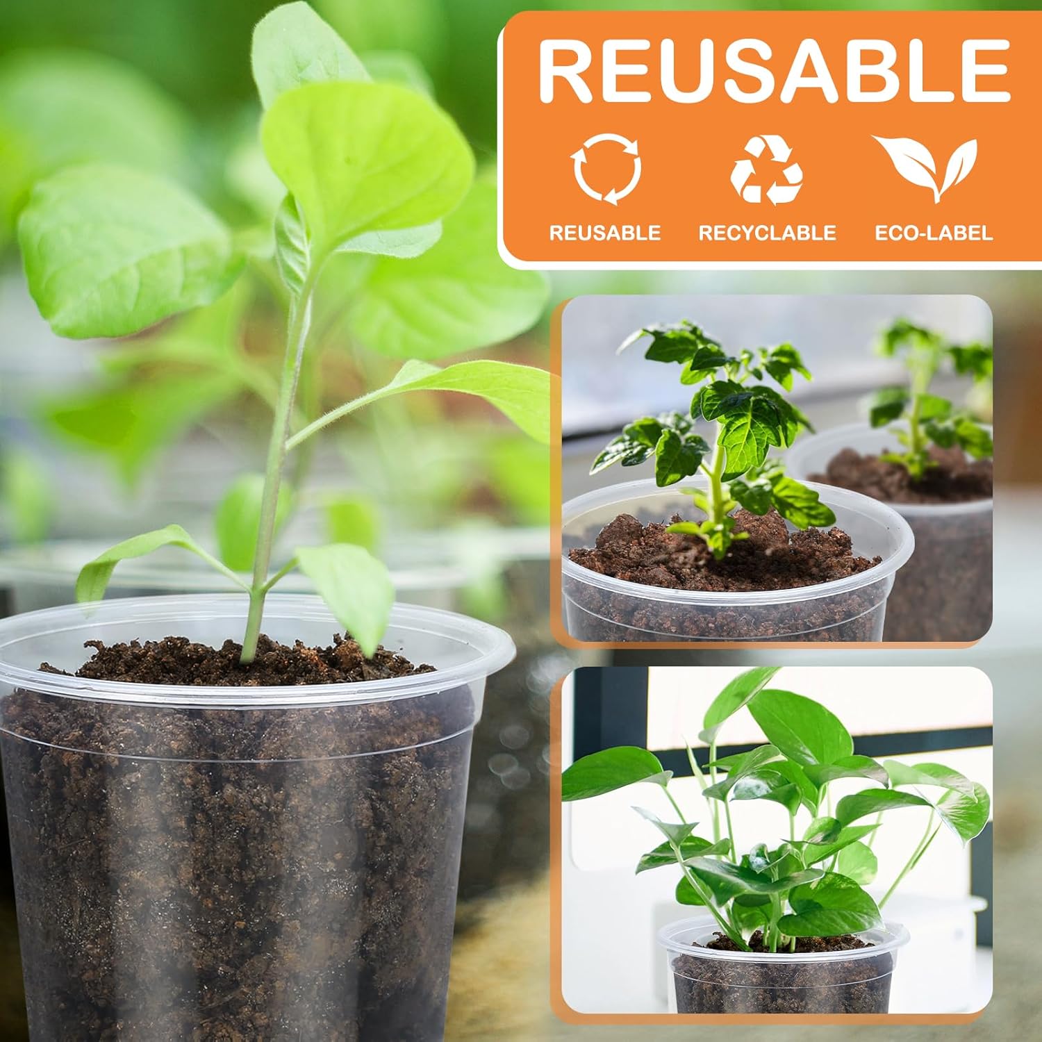 45 Pack 7/6/5/4/3 Inch Clear Nursery Pots for Plants, Clear Plastic Pl