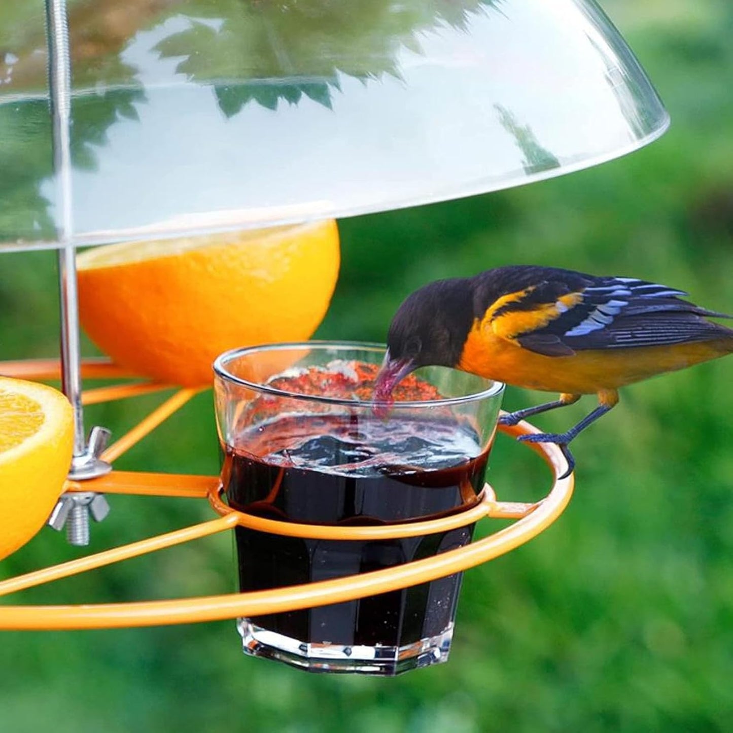 Clear Bird Feeder Protective Dome Cover for Hanging Feeders, Large Dia