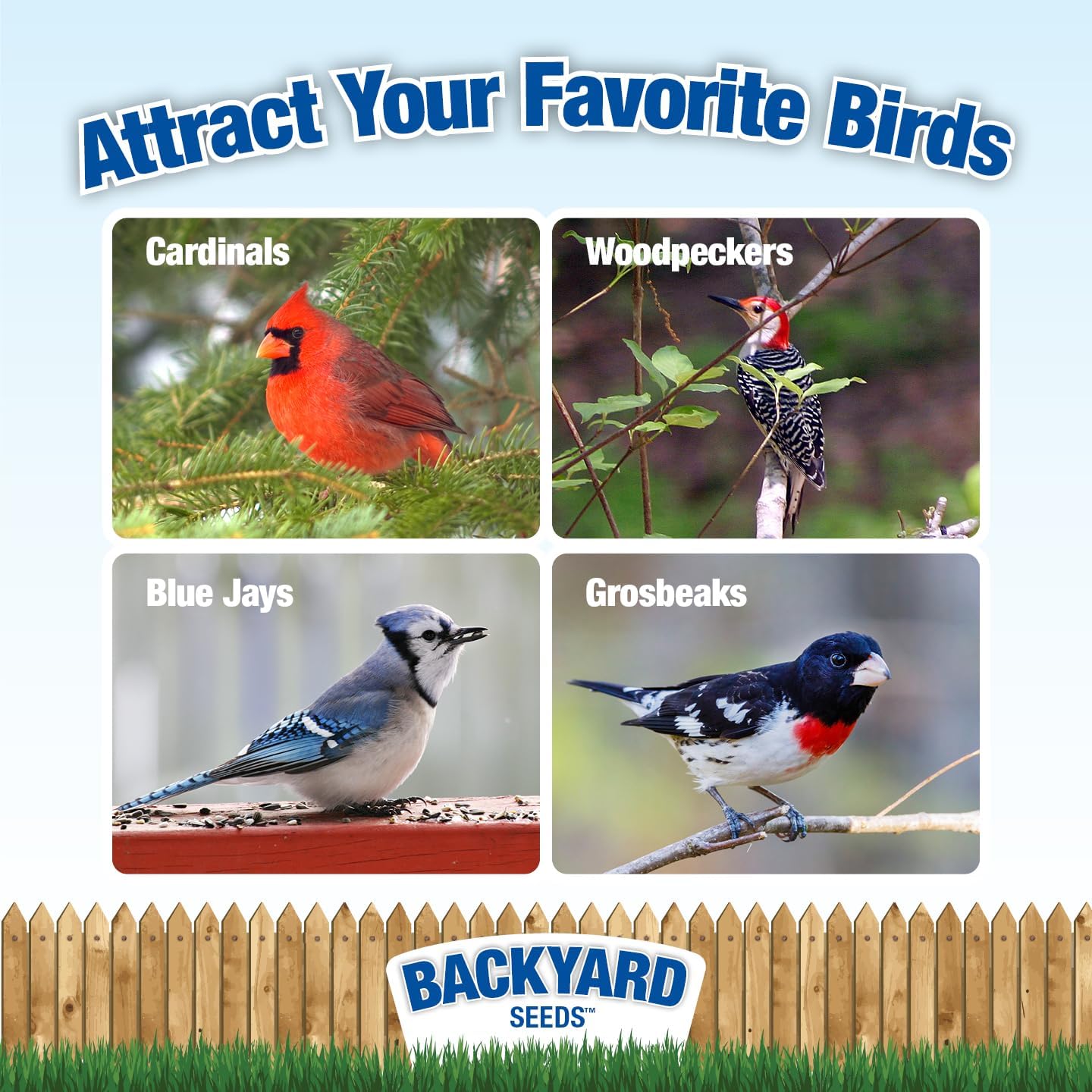 CountryMax Backyard Seeds Striped Sunflower Seeds for Cardinals 7lbs -