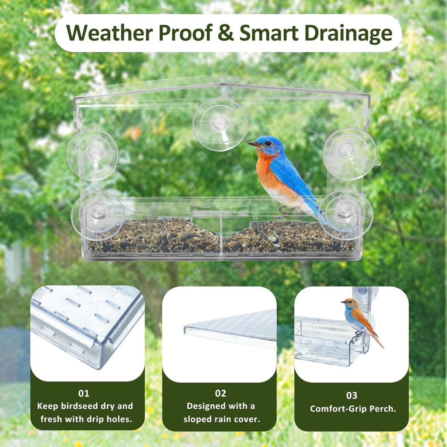 Clear Window Bird Feeder with 5 Extra Strong Suction Cups, Acrylic Wildlife Seed Feeder， as an Outdoor Transparent Bird Watching Gift, Easy-to-Clean, Garden Decor，Middle Size