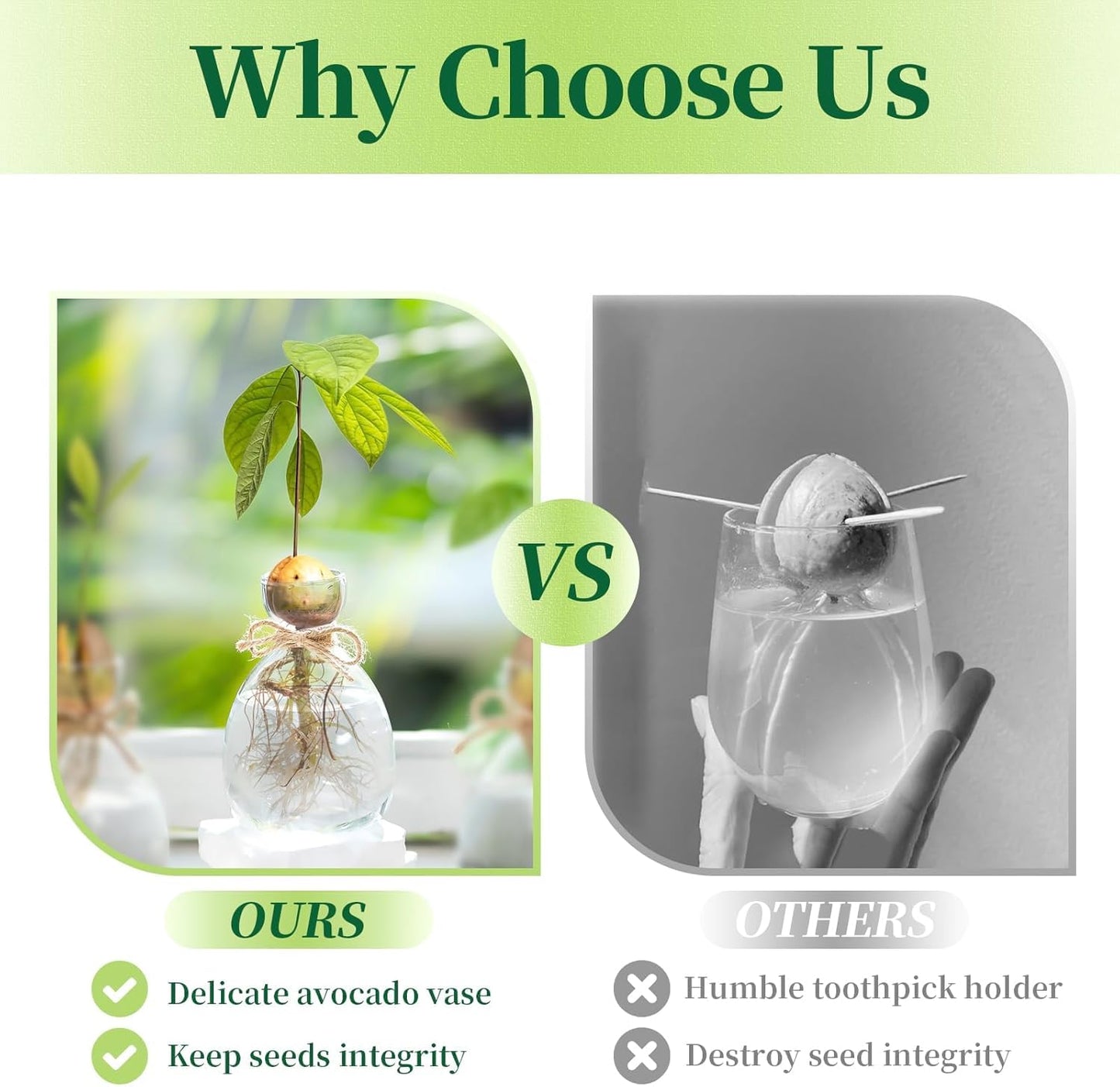 Hewory Avocado Seed Starter Vase: 3 Pcs Glass Avocado Tree Growing Kit Pot for Indoor Plant - Rustic Acorn Vases for Plant Gardening Lovers
