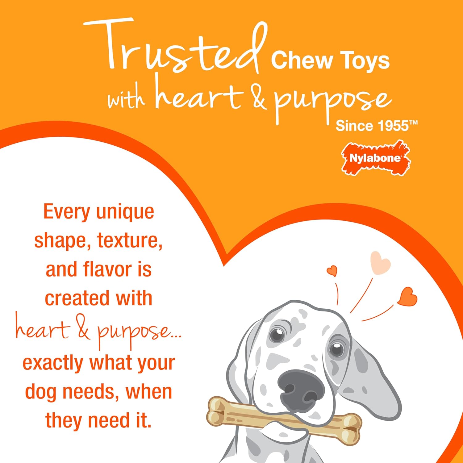 Nylabone Ring Bone Chew Toy for Puppies, Puppy Teething Toys, Puppy En