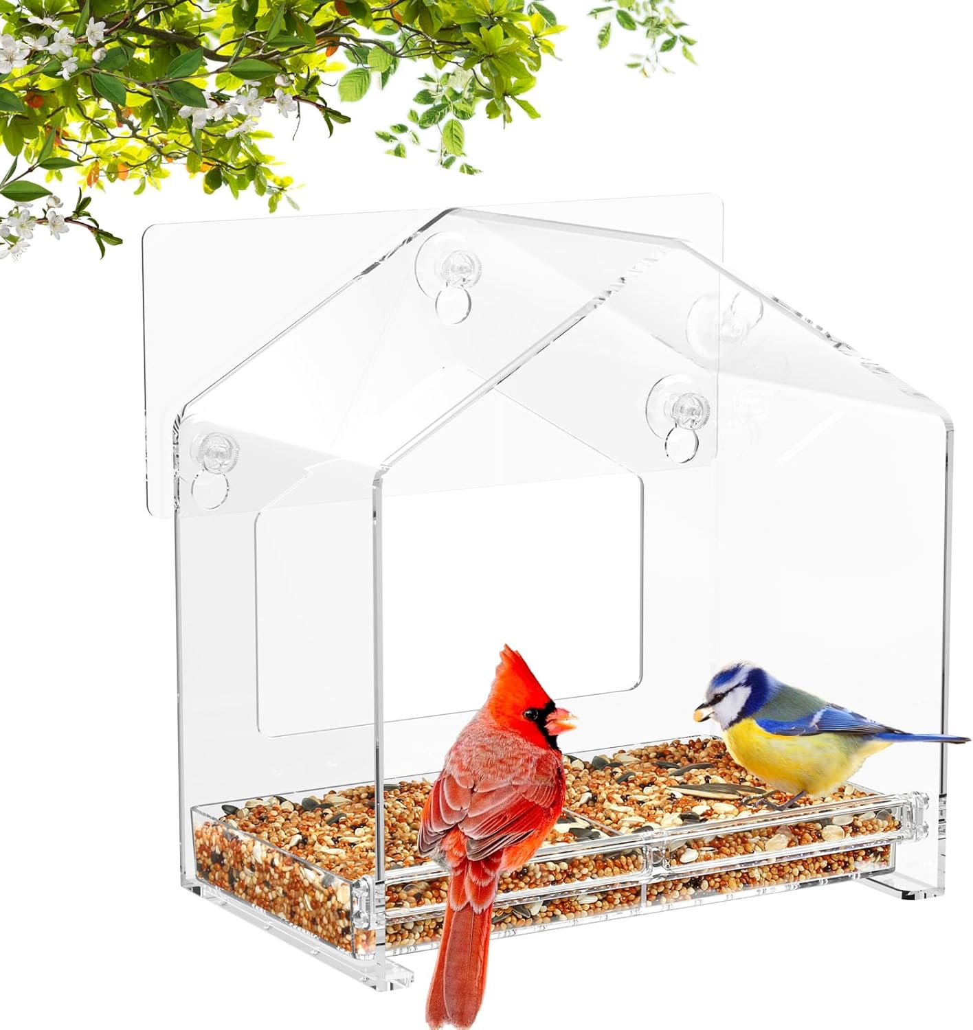 Window Bird Feeder with Strong Suction Cup and Self-Adhesive, Clear Window Birdfeeder for Larger Viewing, Squirrel-Proof Window Bird for Cats Outdoors