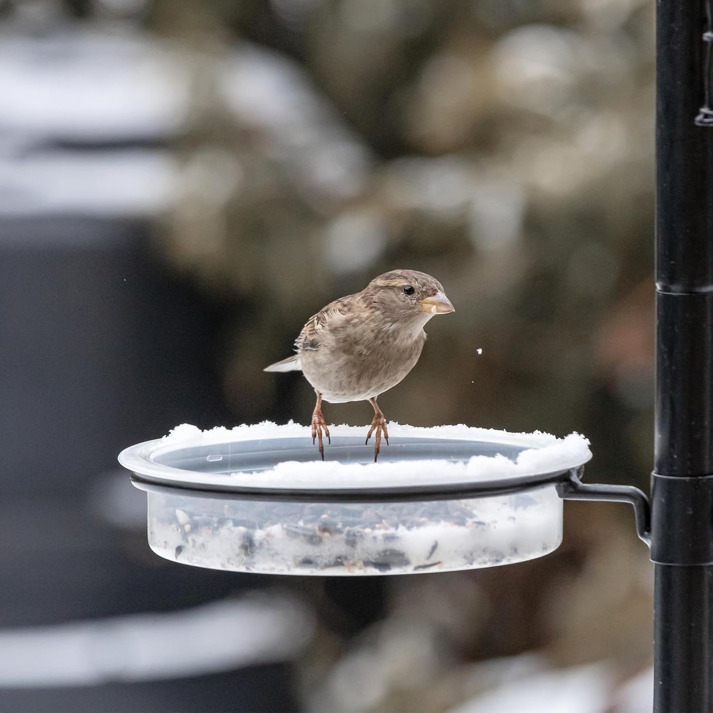 2 Pcs Plastic Round Bird Feeders Water Bowls Birdbath Water Dish Wild Birds Seed Feeder Tray Replacement Feeding Station Bath Tray Accessories Perfect for attracting Birds(White)