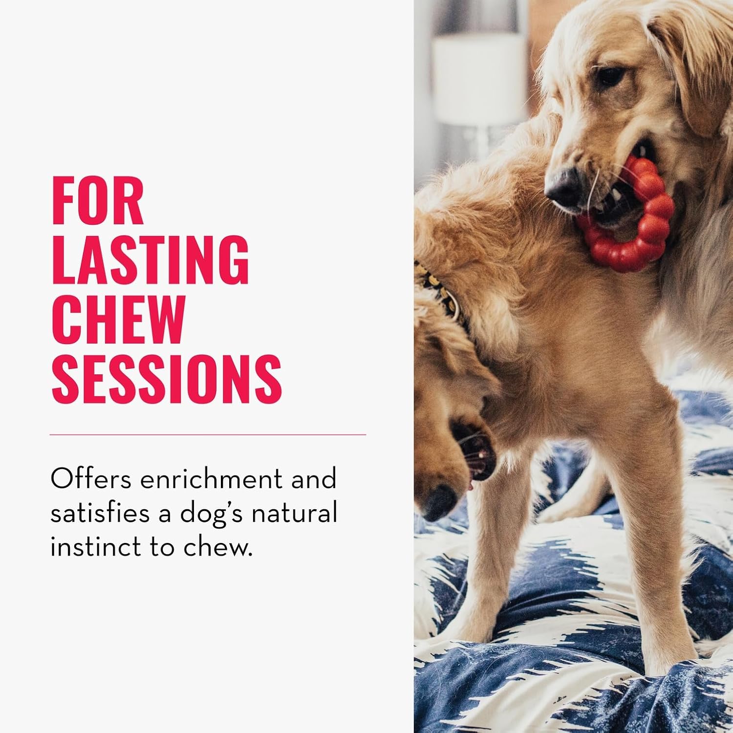KONG Ring - Natural Rubber Ring Toy for Healthy Chewing Habits - Chew 