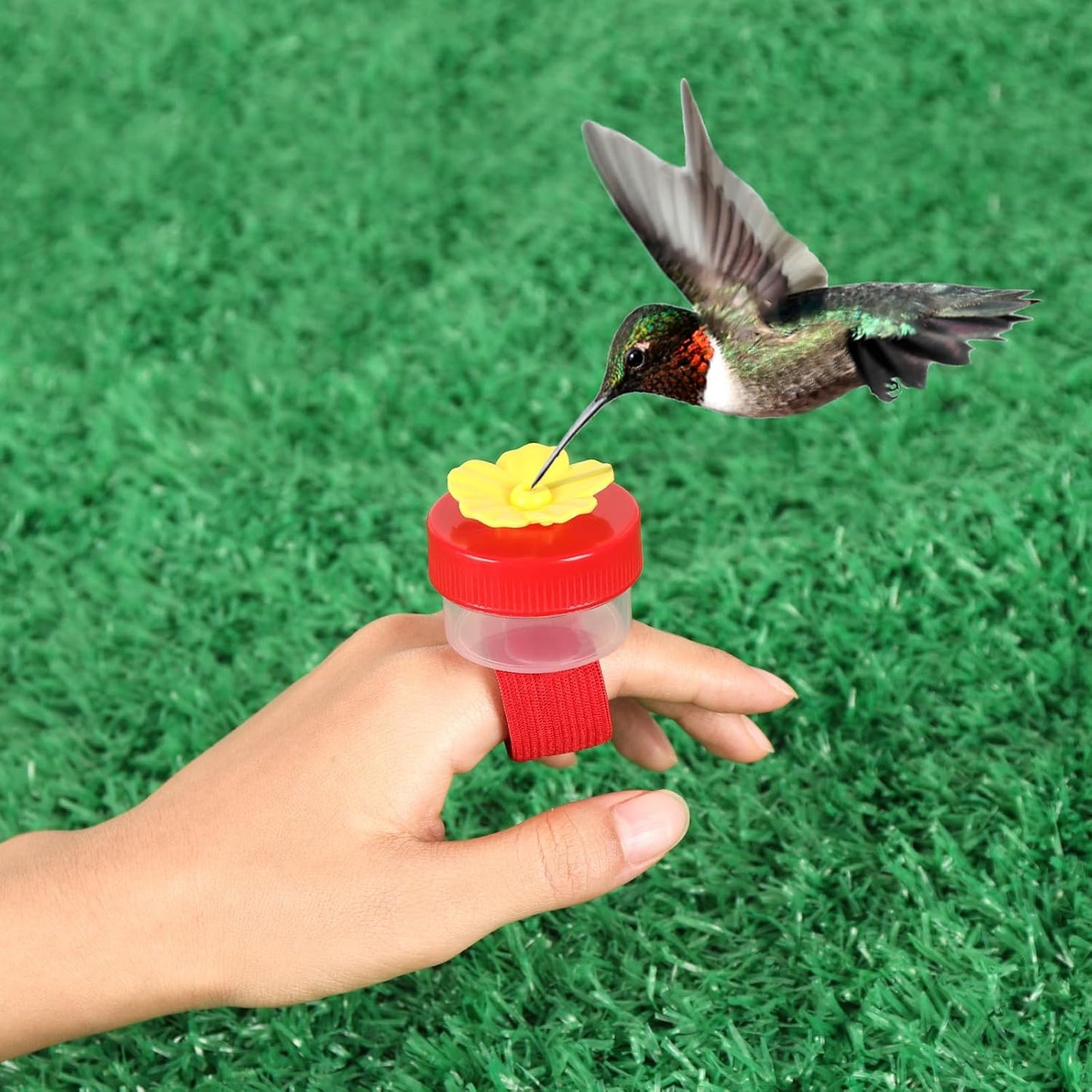 Hummingbird Ring Feeders, 4 Pcs Hand Held Hummingbird Feeders with Cleaning Brush,Hand Feed Bird Feeder for Window Outdoors