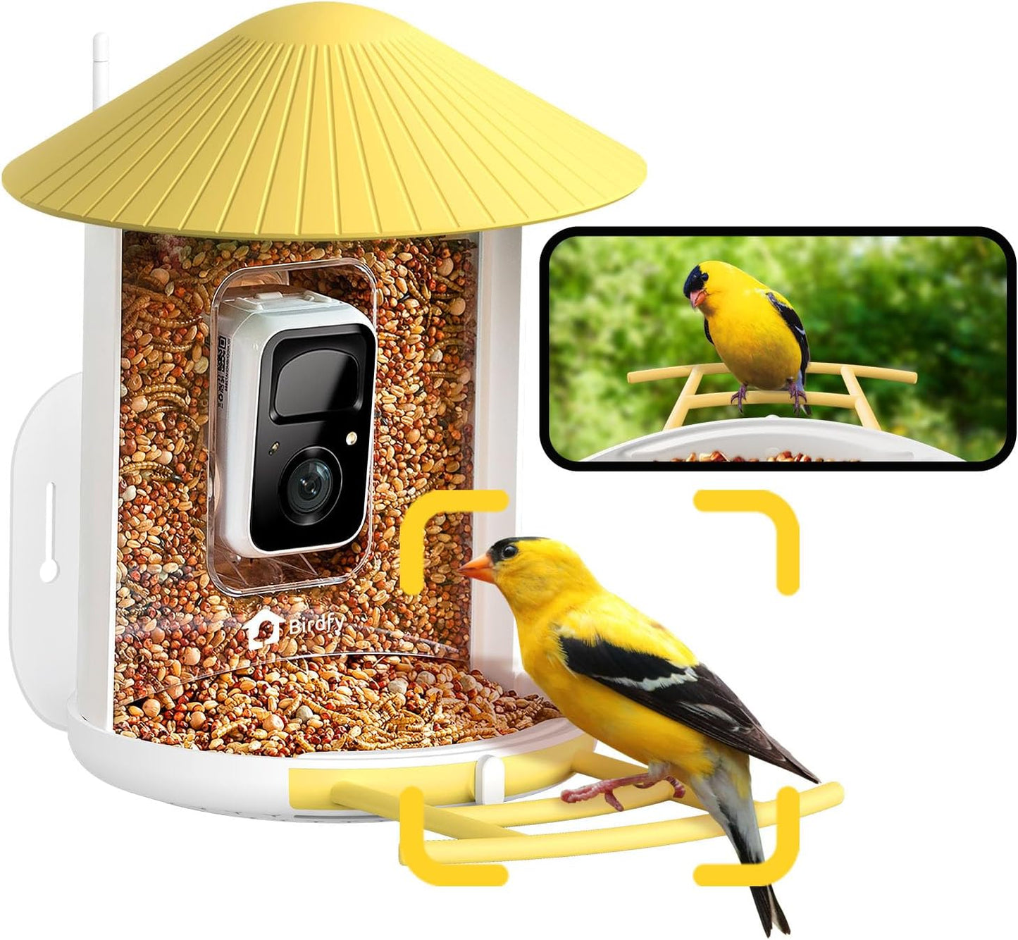 NETVUE by Birdfy AI Smart Bird Feeder with Camera, AI Auto Capture Each Bird Visit & Identify 6000+ Species, Cloud Store & Live Birdwatching, Ideal Gift (Yellow)