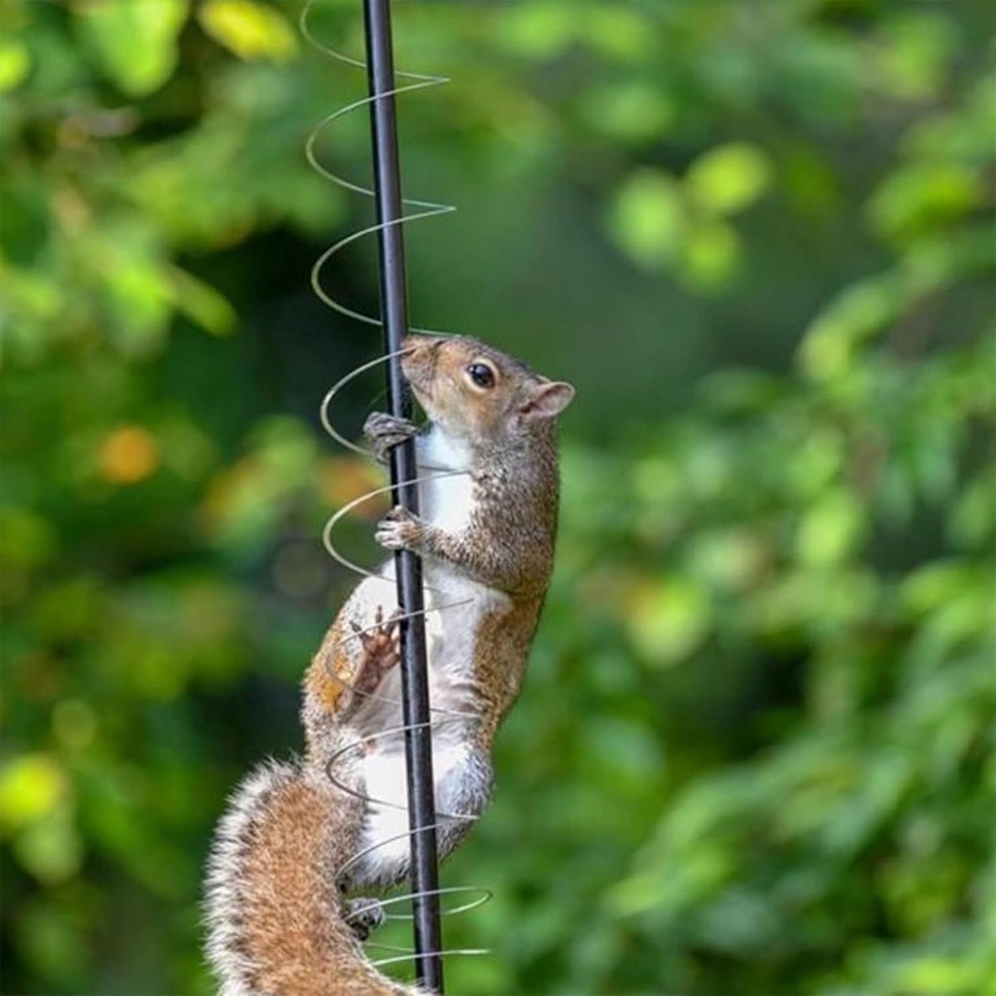 Squirrel Proof Spring Device, Metal Squirrel Baffle Barrier Type Coil,