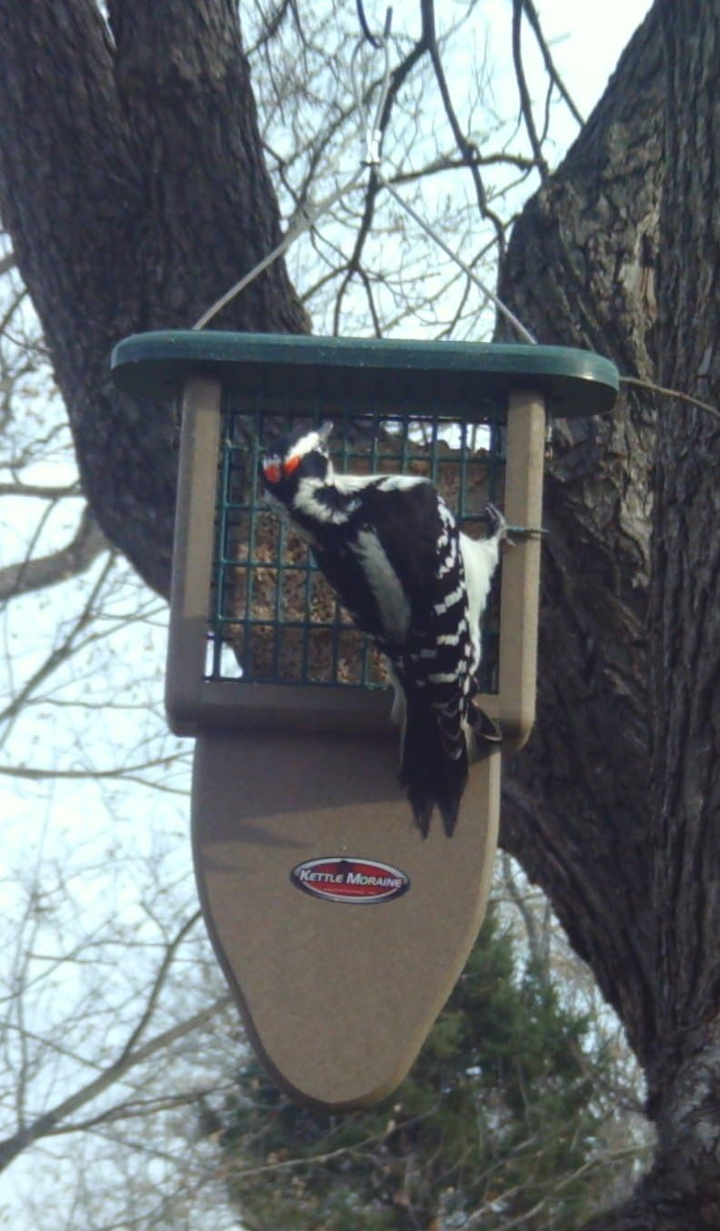 Kettle Moraine Recycled Plastic Single Suet Cake Tail Prop Suet Bird F
