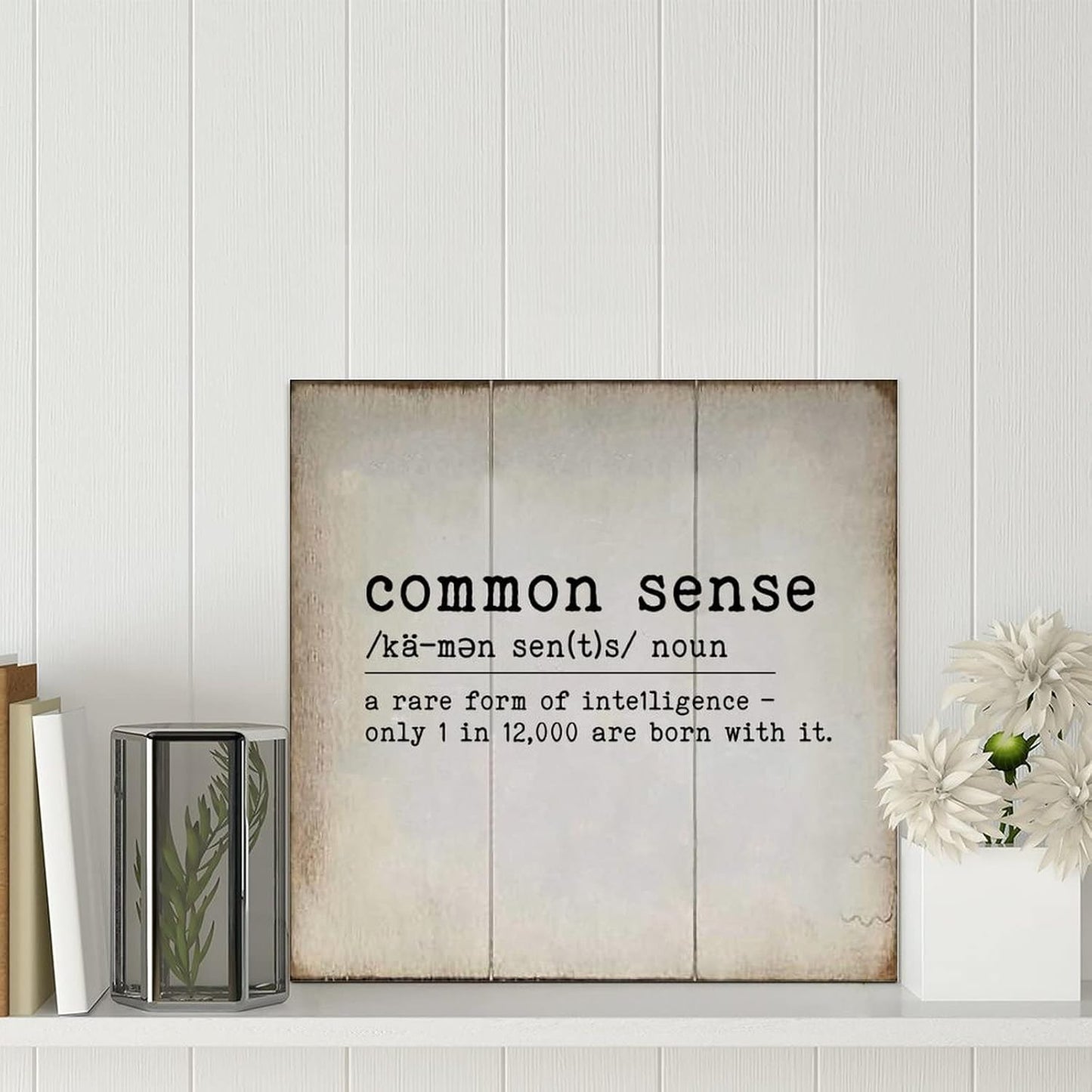 LITTLEGROVE SEEDS Vintage Wood Sign Common Sense Wooden Sign Common Sense Farmhouse Wall Art Rustic Wall Decorations for Living Room for Home Man Cave Garden Bars Cafes 12x12in