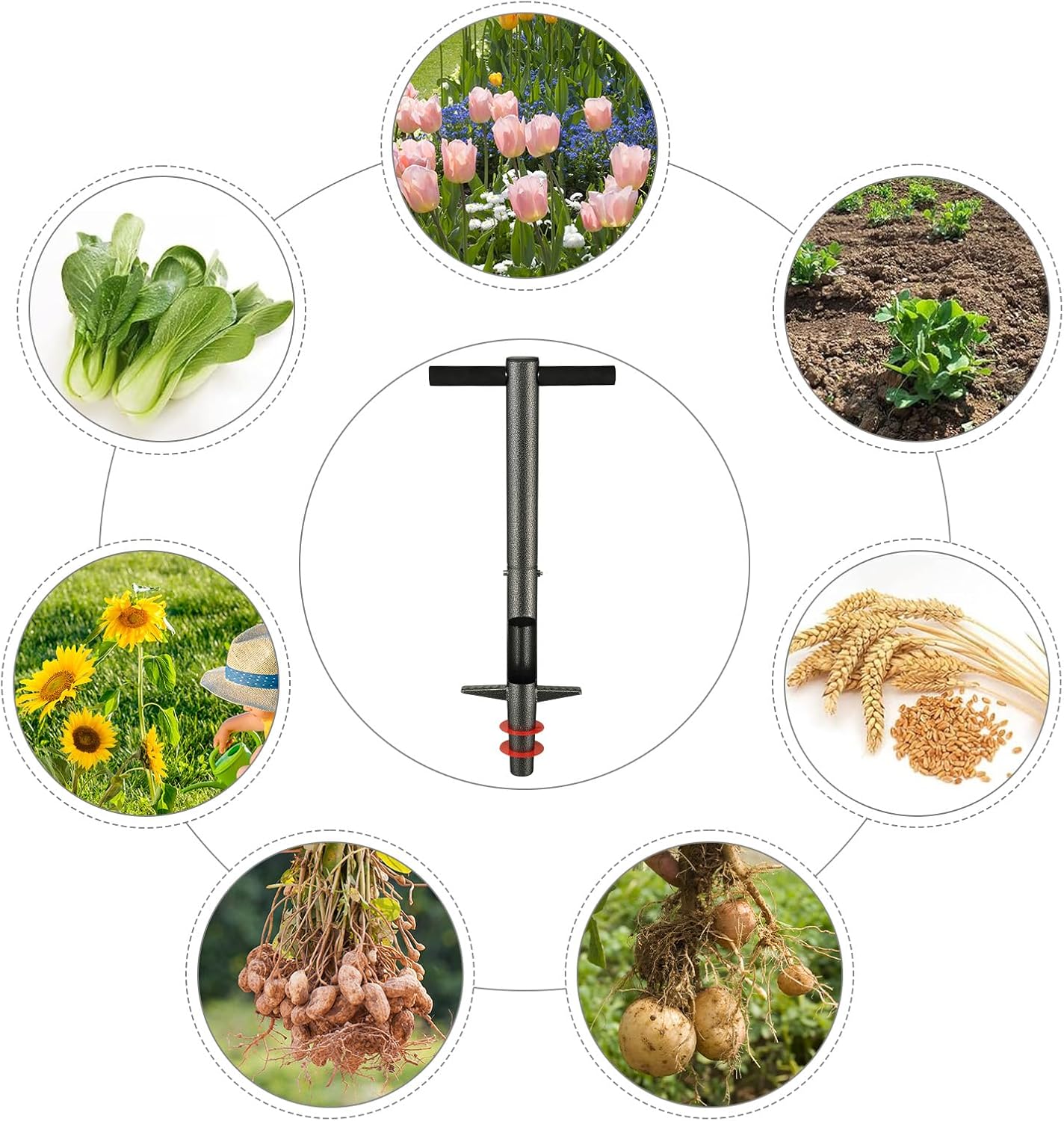 Bulb Planter Tool, 33.5 inch Long Handle Garden Sod Plugger to Dig Hol