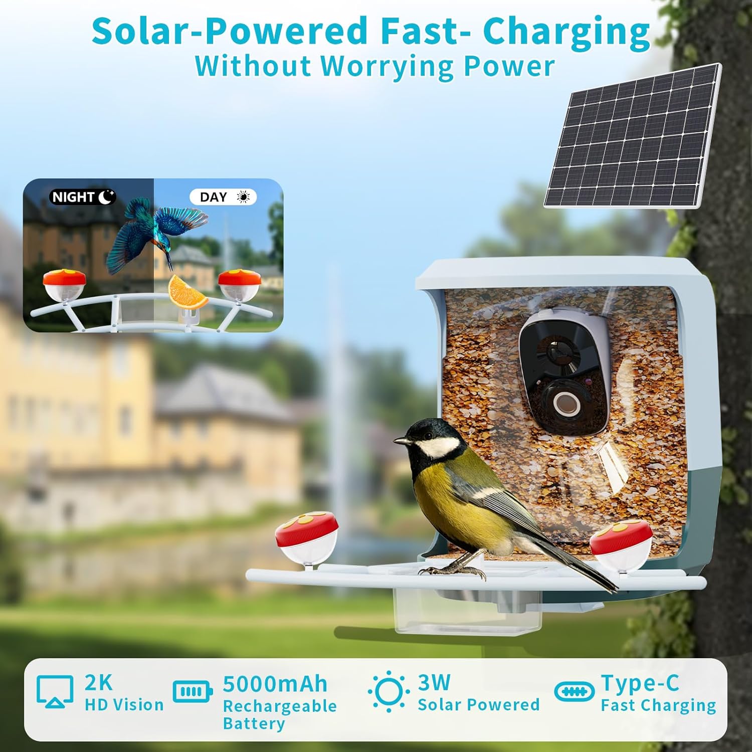 Smart Bird Feeder with Camera Solar Powered - 2K HD Video Camera AI Id