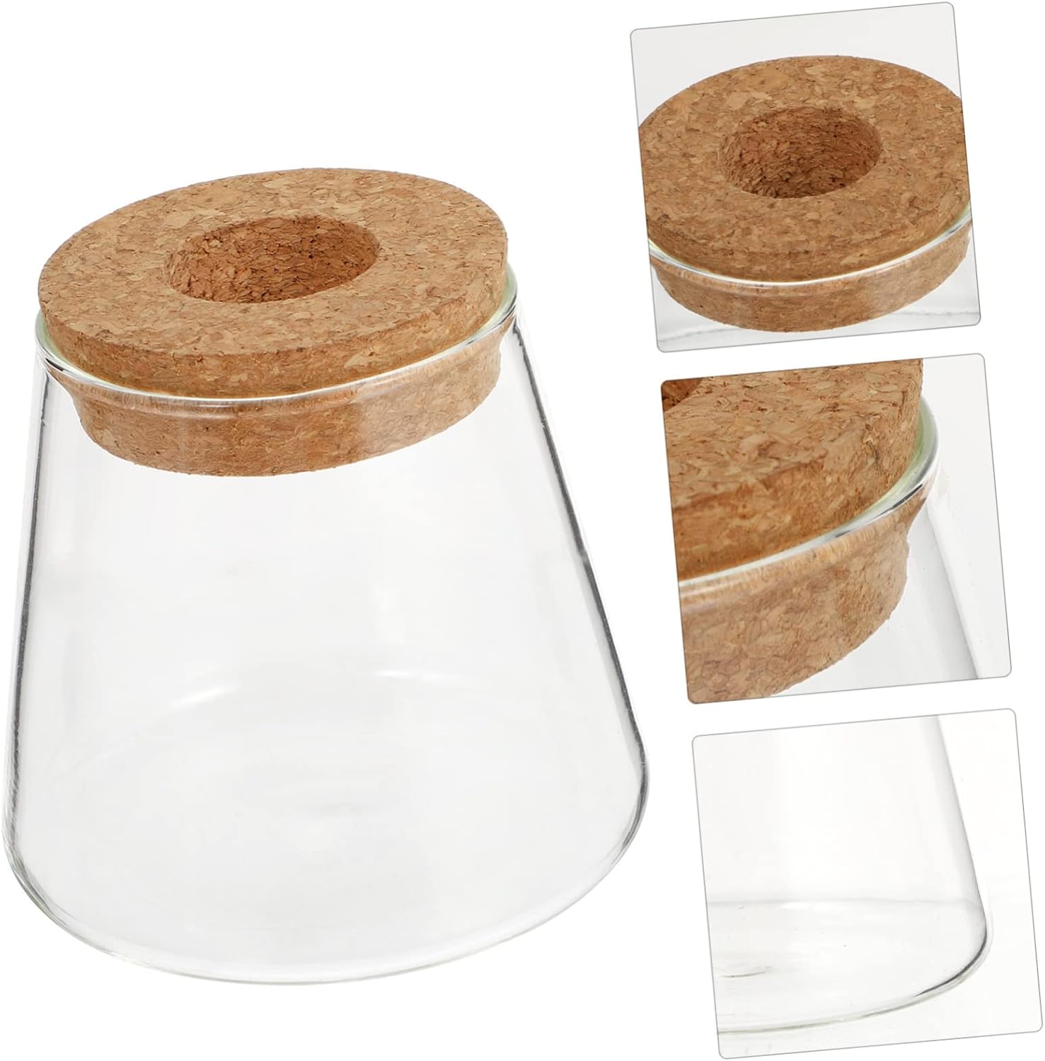 BESTOYARD 8pcs Glass Hydroponics Planter for Desktop Decoration Elegan