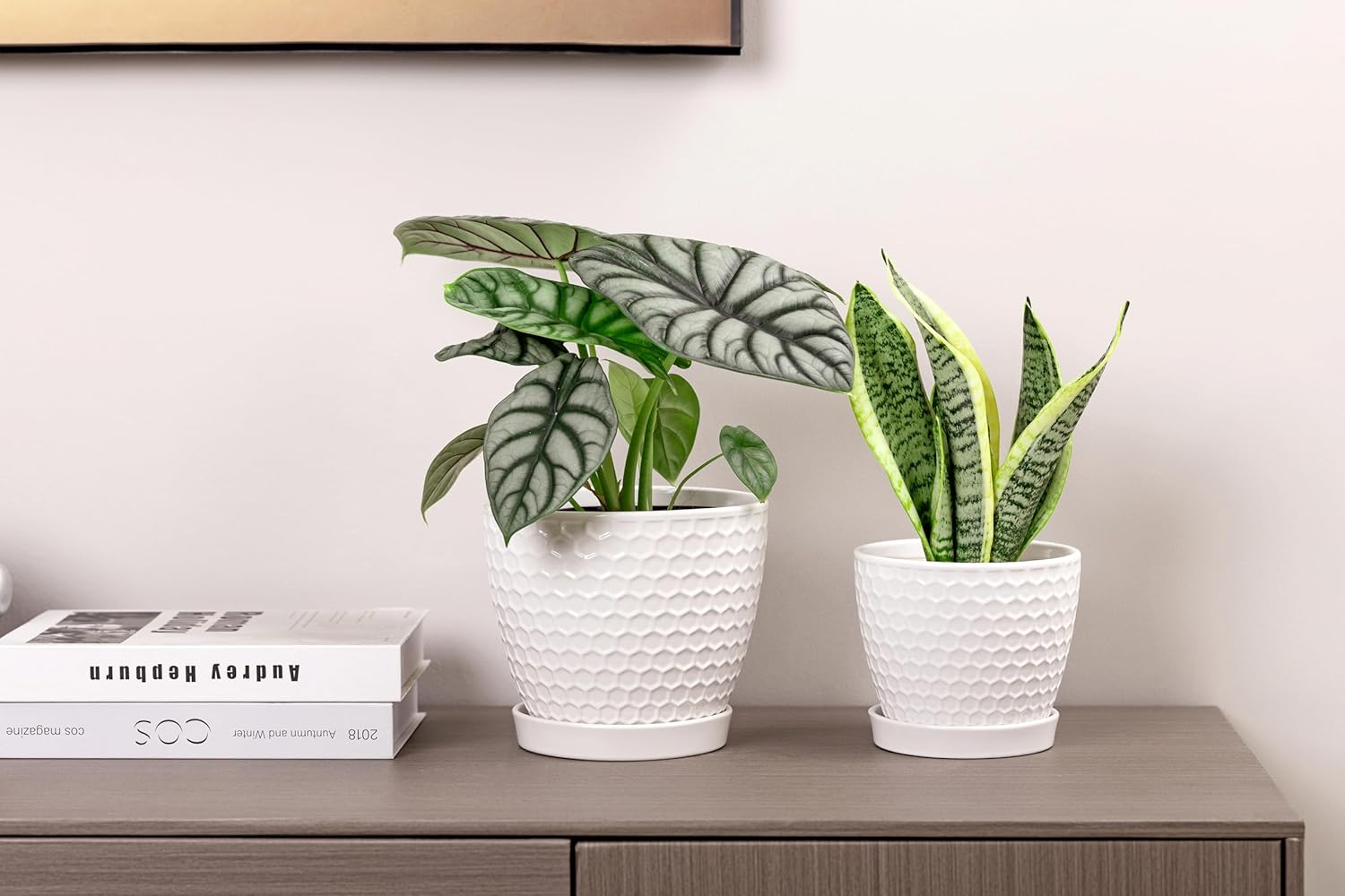 Docrin Ceramic Plant Pots Set of 2 (6.6"+5.5"), High-Fired Clay Indoor