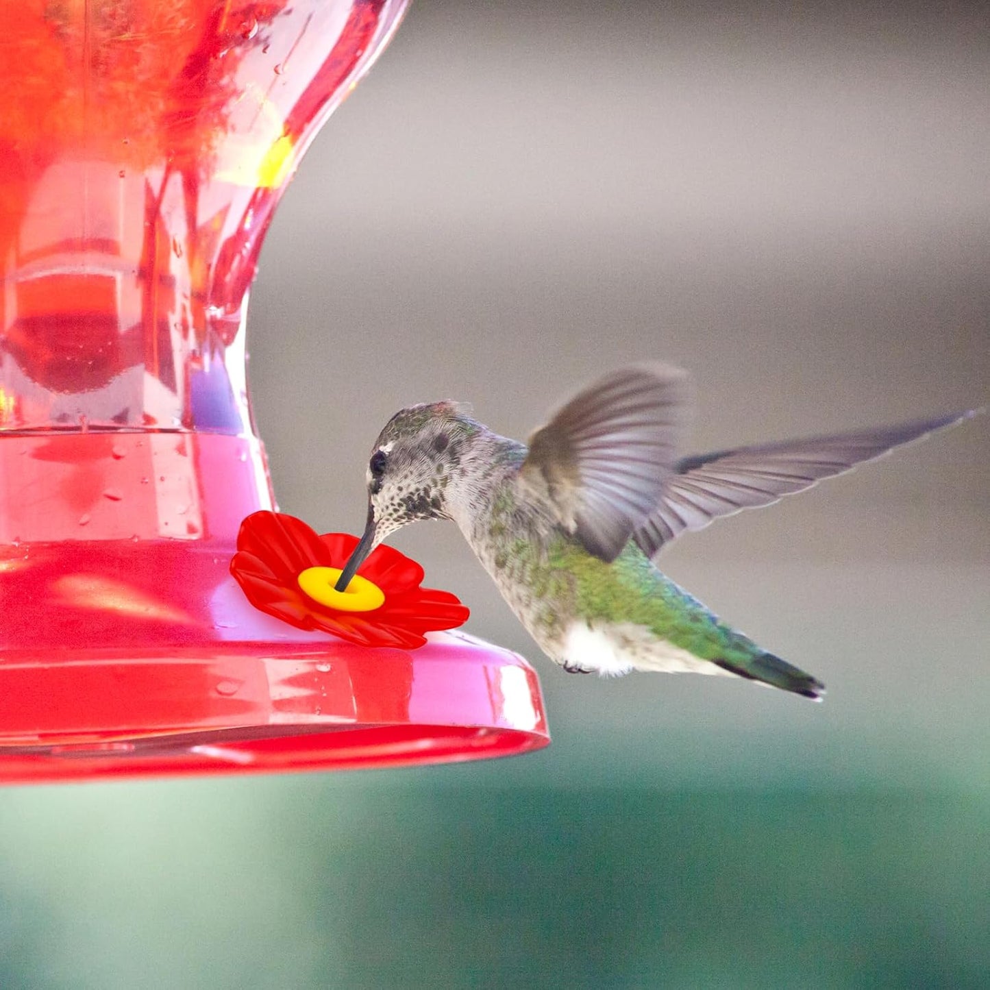 20pcs Hummingbird Feeder Replacement Flowers with 2 Cleaning Brush, Hu