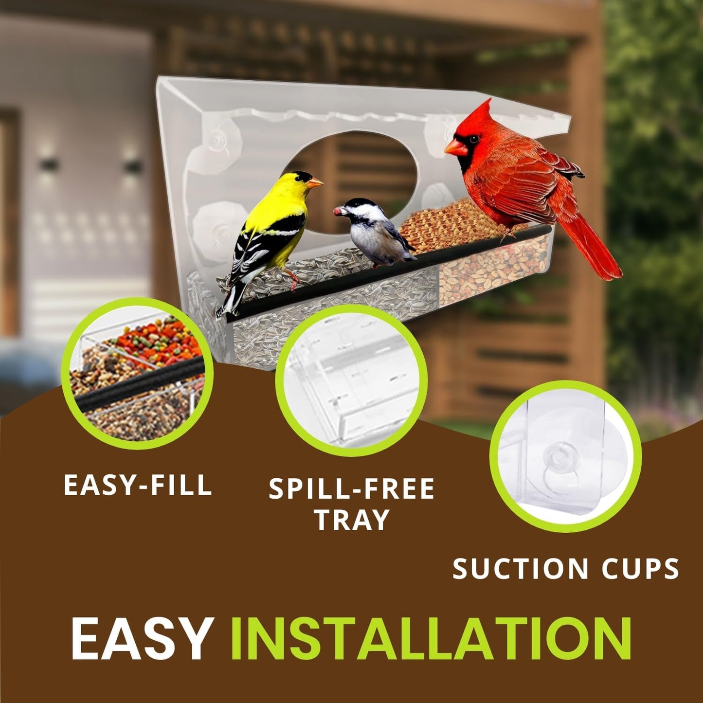 Nature Gear Acrylic Clear Window Bird Feeder with Strong Suction Cups,