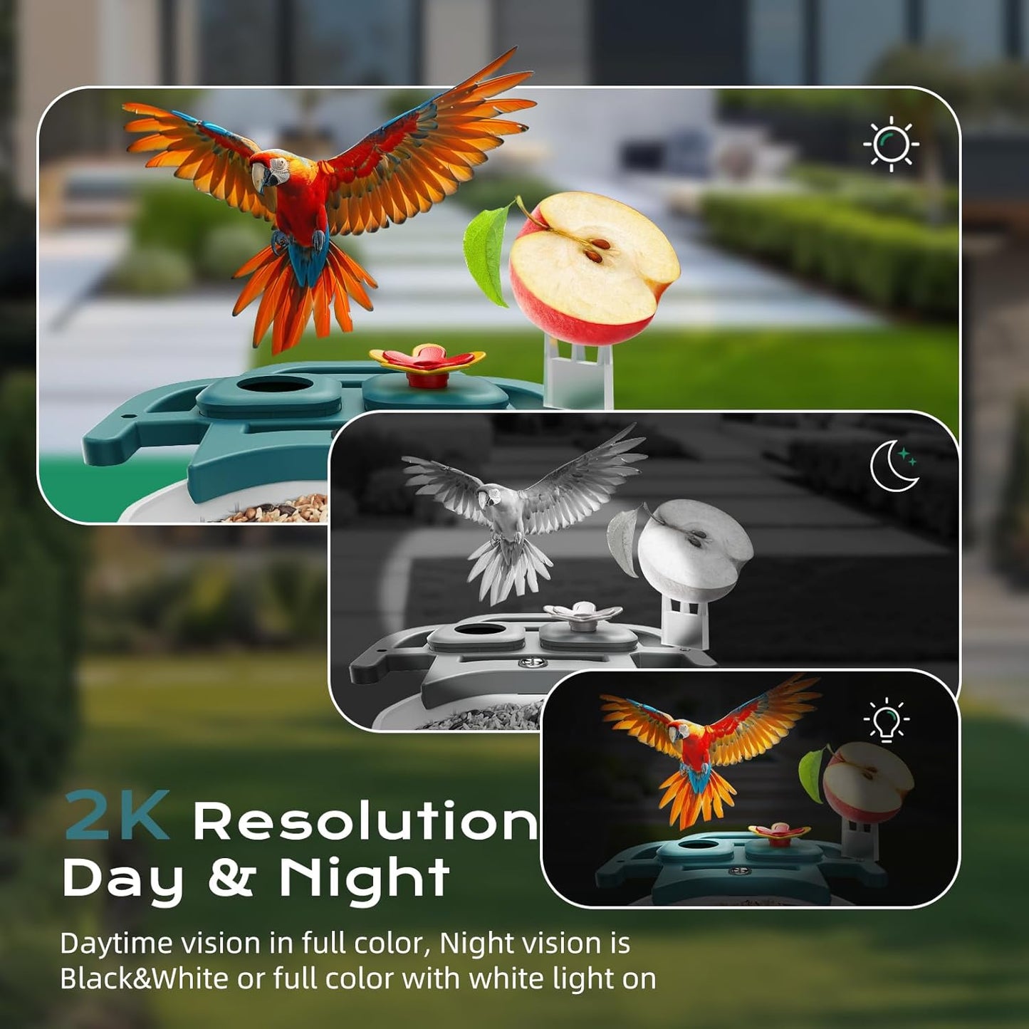 Bird Feeder with Camera, Solar Powered Outdoor Birdhouse, AI Smart Identify 10000+ Birds Species, Instant Motion Detection & Alerts, Watching & Capture BirdVideo, Gifts for Bird-Lovers(Cyan-Blue)