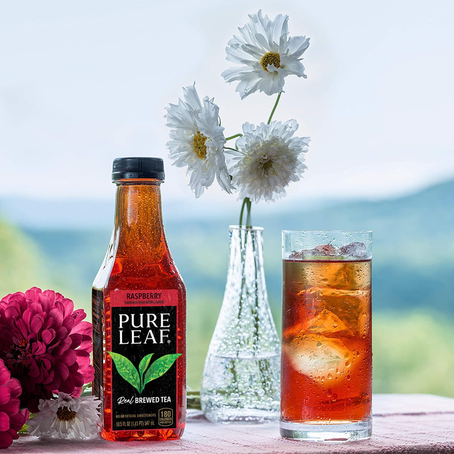 Pure Leaf Iced Tea, Raspberry, Real Brewed Tea, 18.5 Fl Oz Bottles (Pa