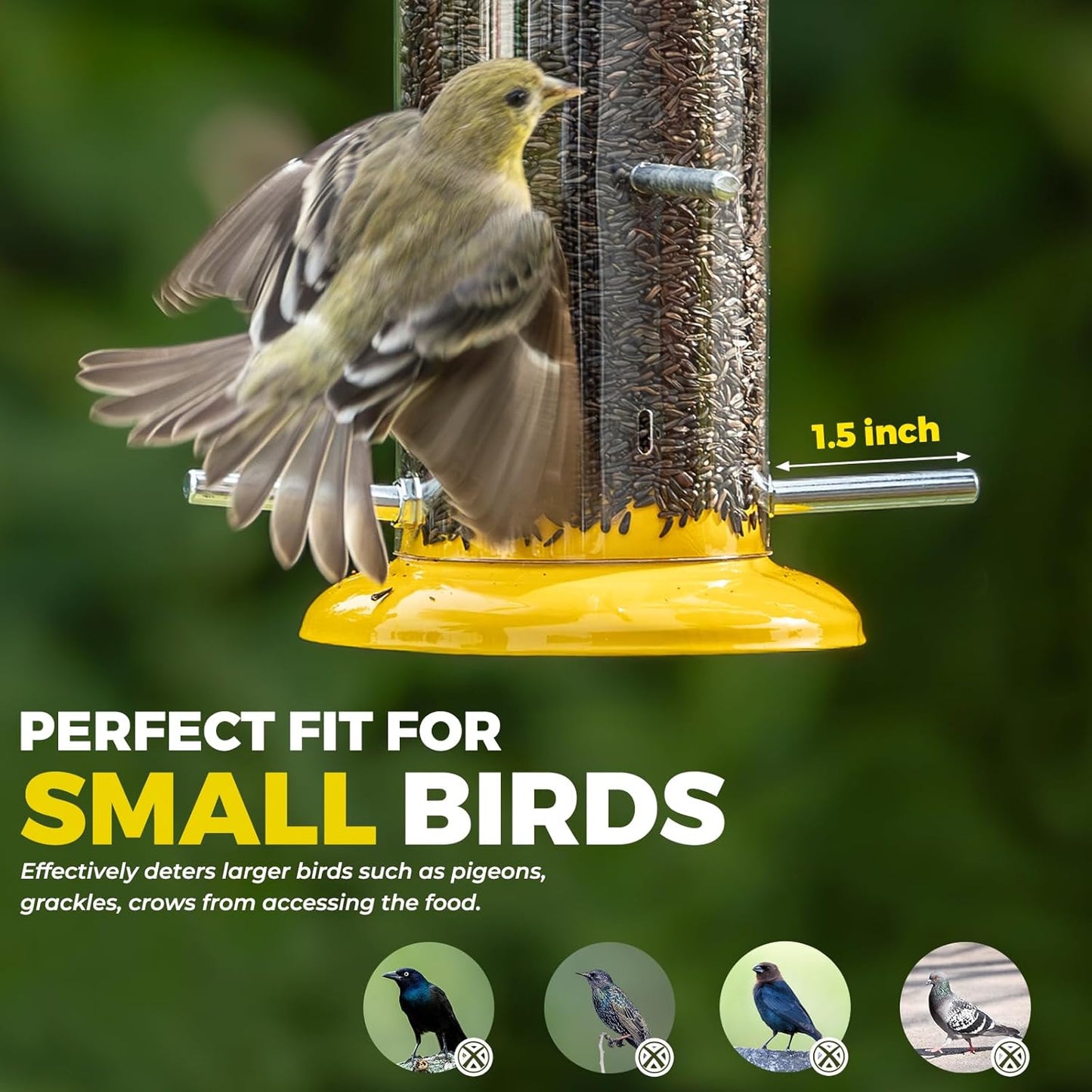 Kingsyard Metal Finch Feeder for Thistle/Nyjer Seed, Tube Bird Feeders