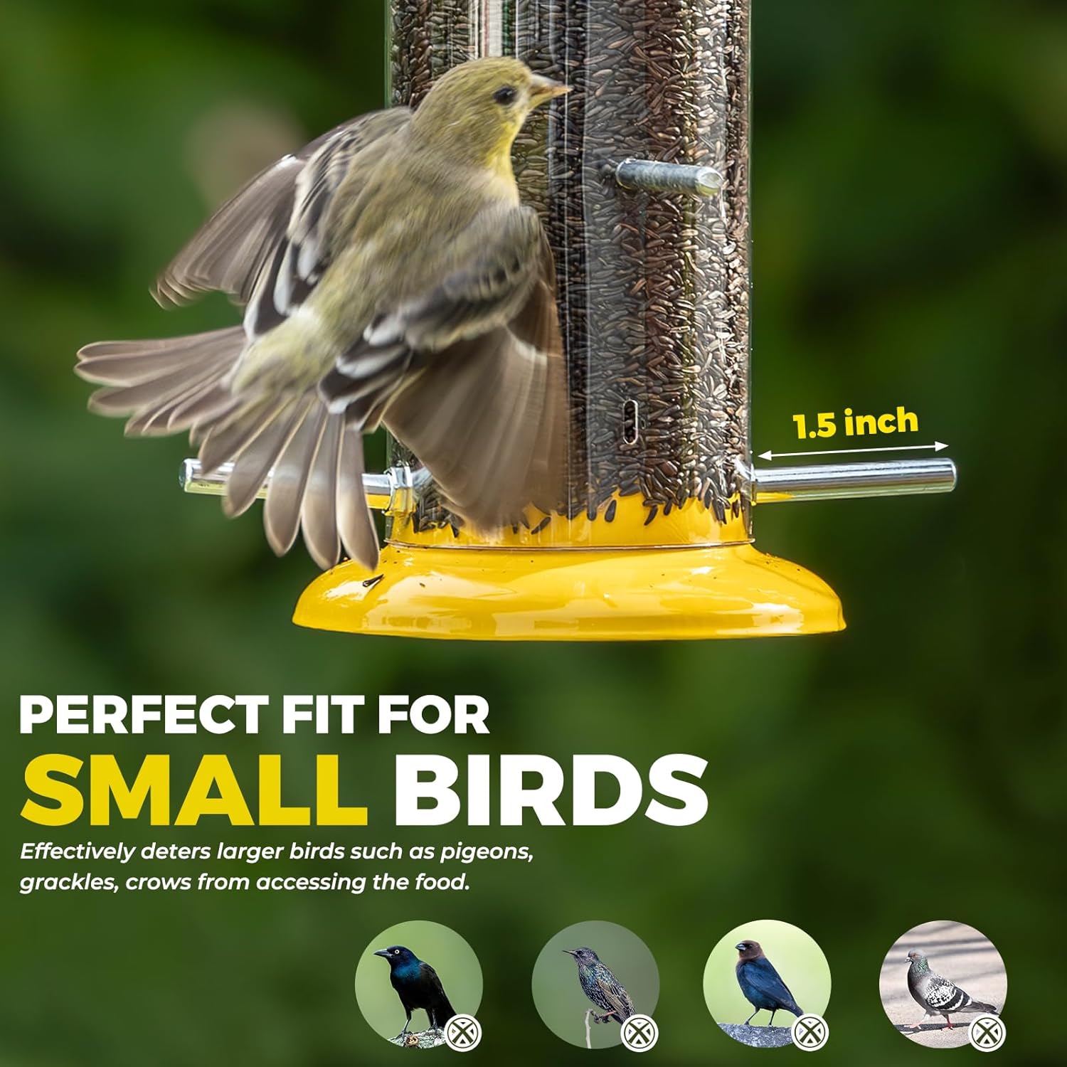 Kingsyard Metal Finch Feeder for Thistle/Nyjer Seed, Tube Bird Feeders