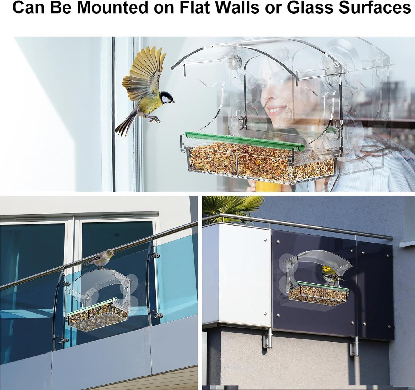 Clear Window Bird Feeder with 4 Strong Suction Cups, Removable Tray & Drain Holes – Ideal for Bird Watching with Cats – Great Gift for Family & Friends