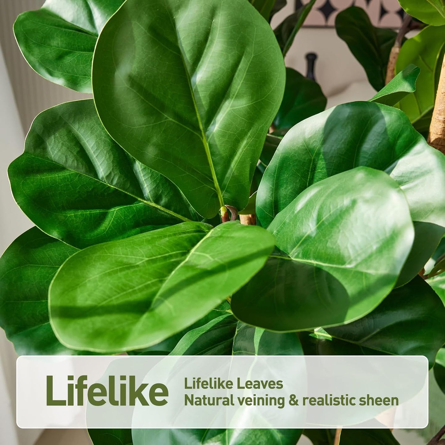 6FT Artificial Fiddle Leaf Fig Tree with White Planter - Tall Fake Tree, 3 Real Wood Trunks, Real Moss Pot, Artificial Plants Indoor Faux Tree for Home Living Room Office Decor, VN244