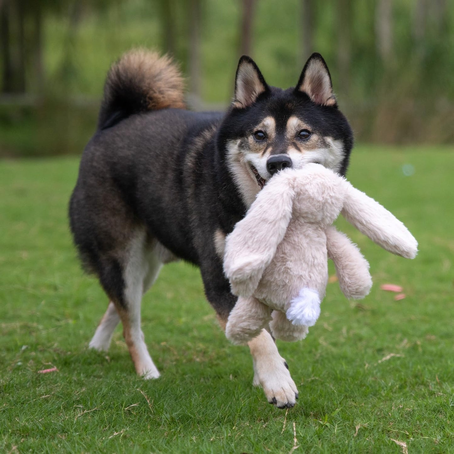 Best Pet Supplies Interactive Squeaky Dog Chew Toy, Ideal Dog Toys for