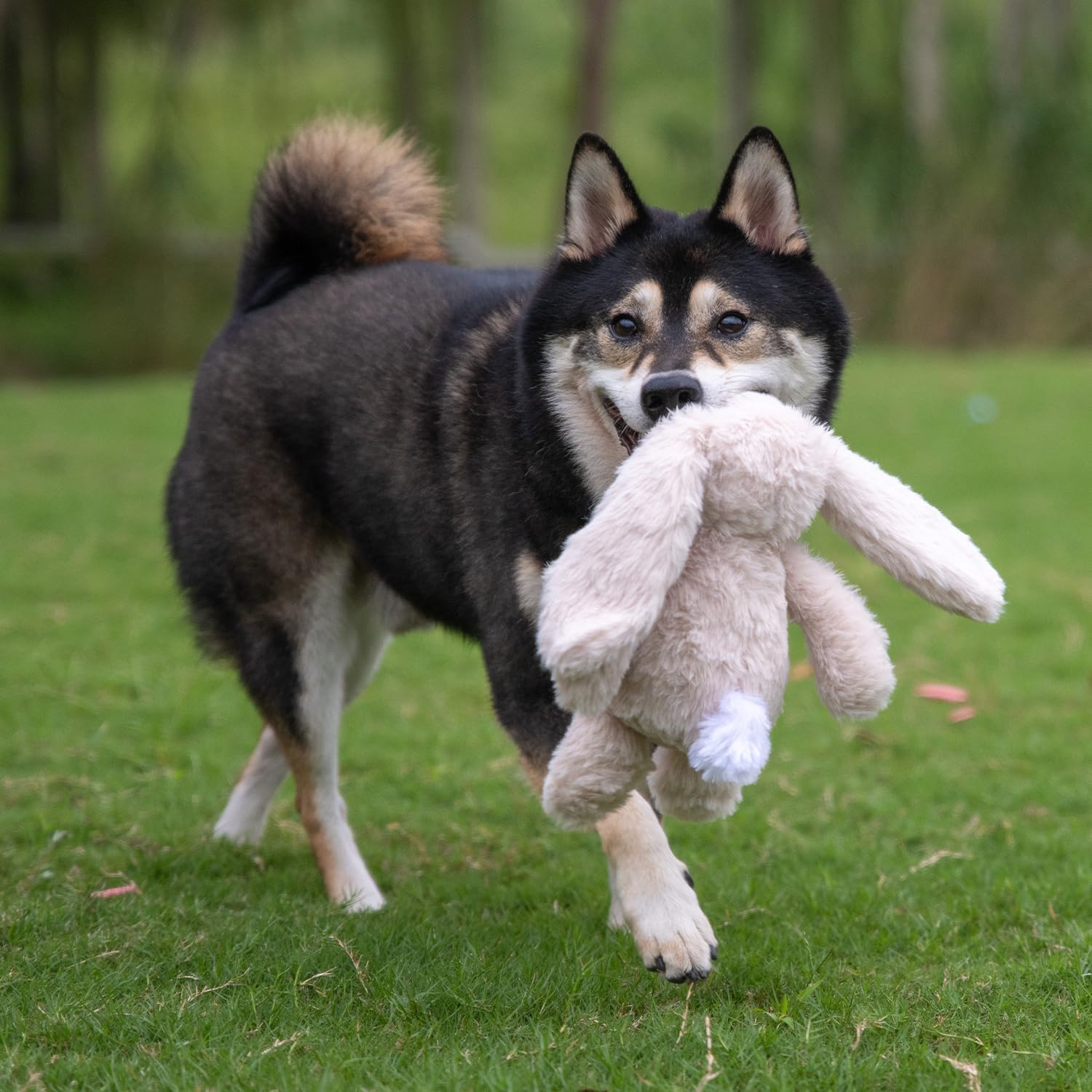 Best Pet Supplies Interactive Squeaky Dog Chew Toy, Ideal Dog Toys for