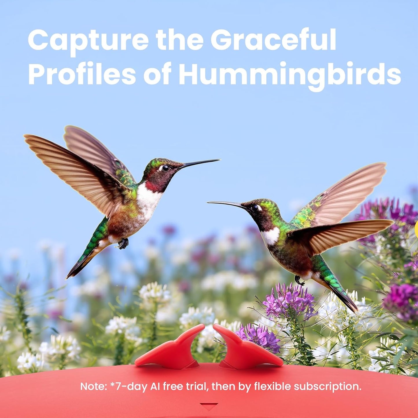Birdfy Hummingbird Feeder with Camera & Solar Panel, Smart Bird Feeder with AI Recognition & Capture on Outdoors, Gardens, Easy to Clean, 14oz Capacity, SE