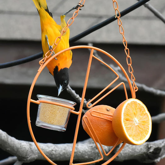 POPETPOP Hanging Bird Feeder Cup Metal Accessory for Outdoor Balcony Window Wild Birds Hummingbird Feeder Part Garden Decor