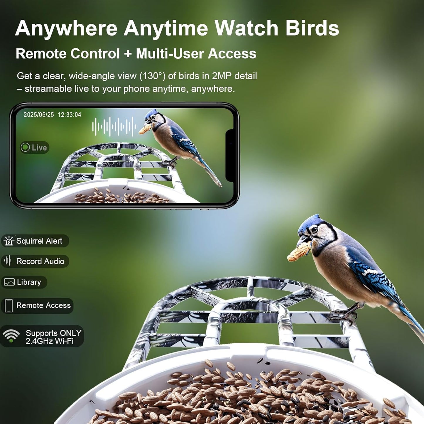 DCT Smart Bird Feeder with Camera: Christmas Gift & Stocking Stuffer for the Whole Family - 1080P HD & AI Identifies 11000+ Birds - Perfect Discovery Gift for Grandparents Parents & Kids Ages 2-12